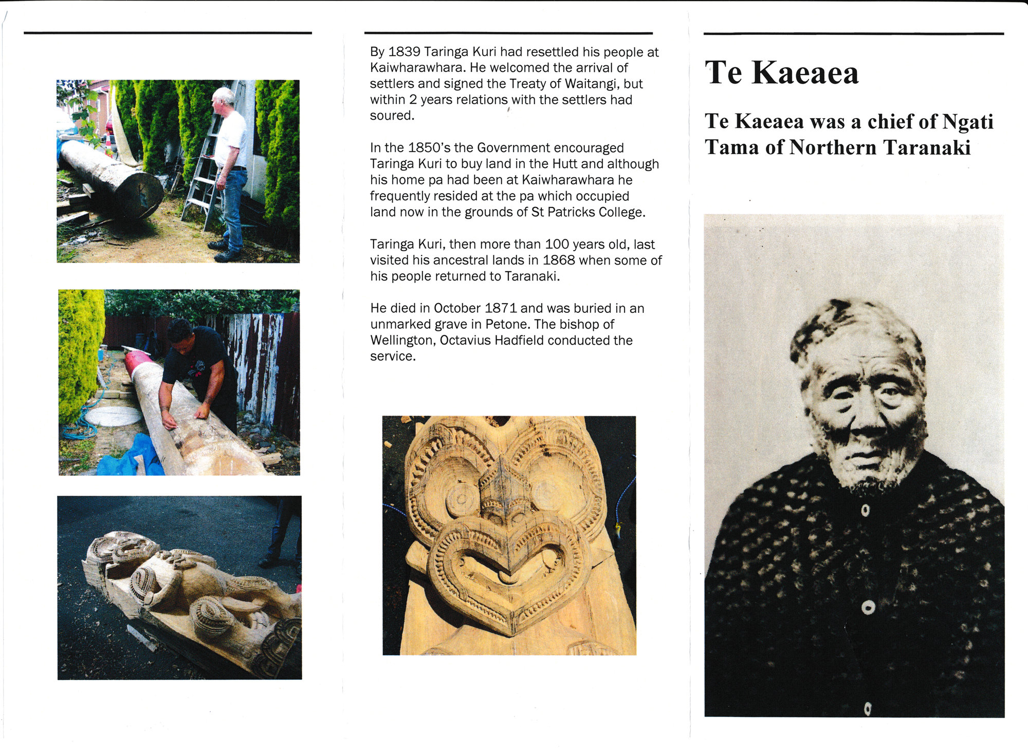 Te Kaeaea pamphlet