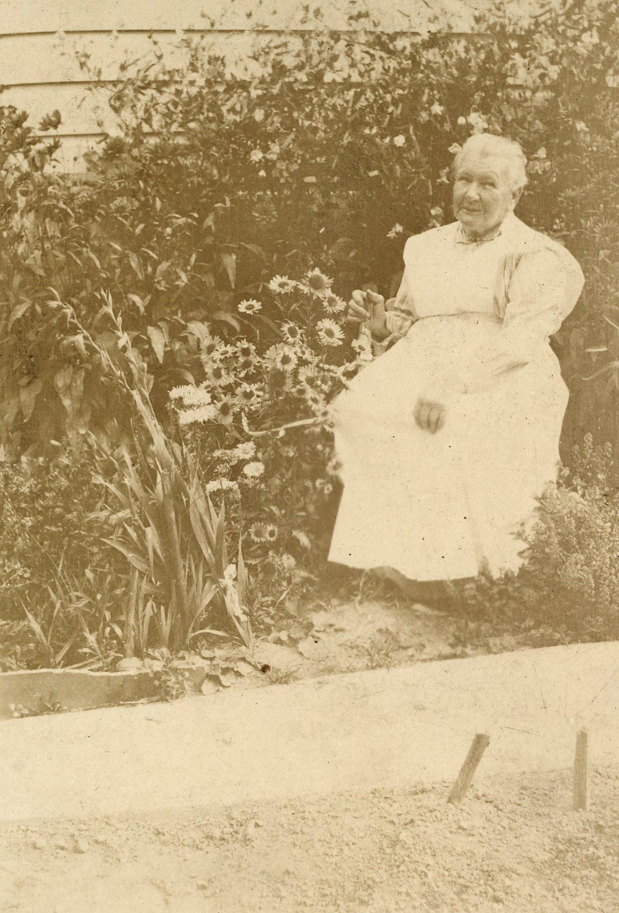 Campbell Family Photograph; Granny Wyeth;  ca 1920s