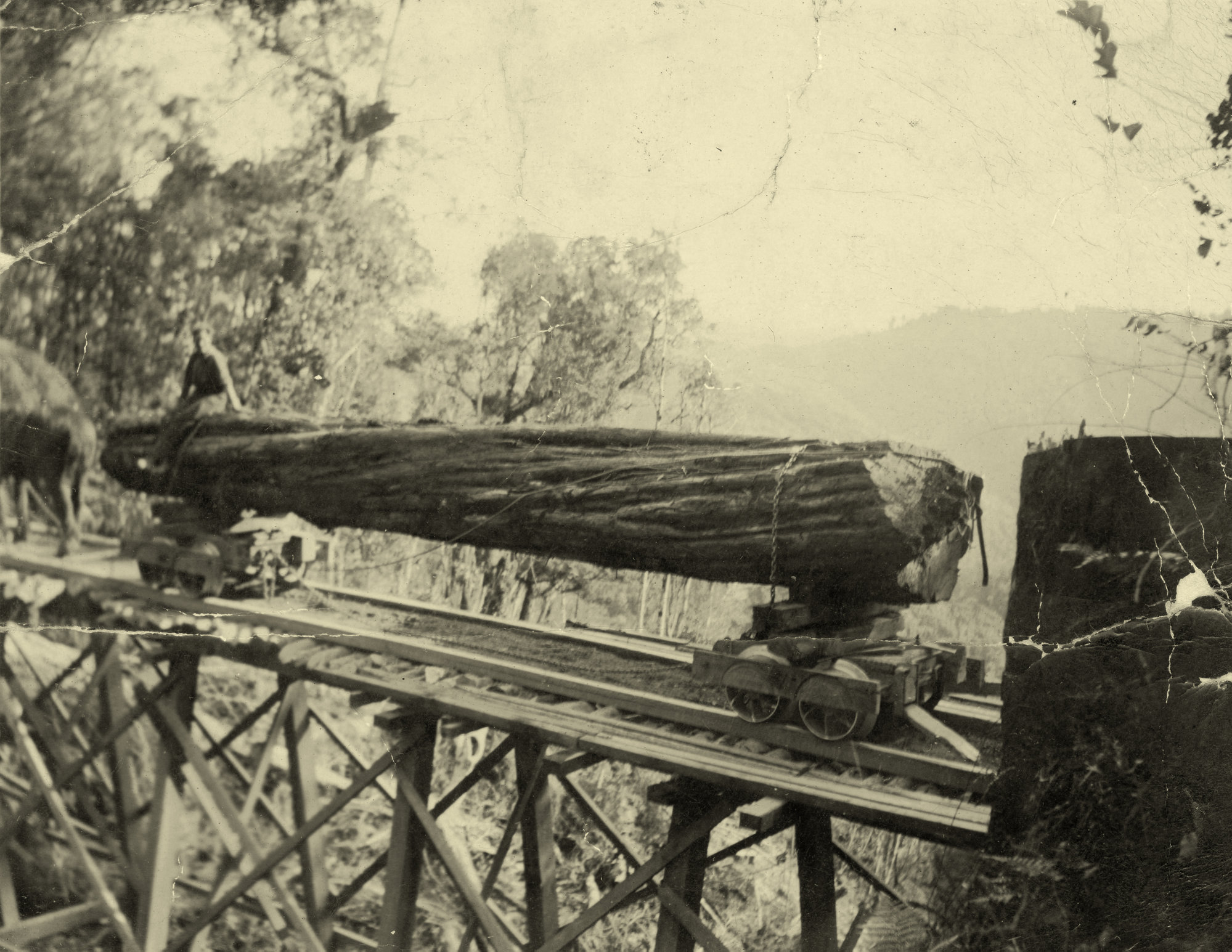 Campbell Family Photographs; Sawmill; ca 1920s