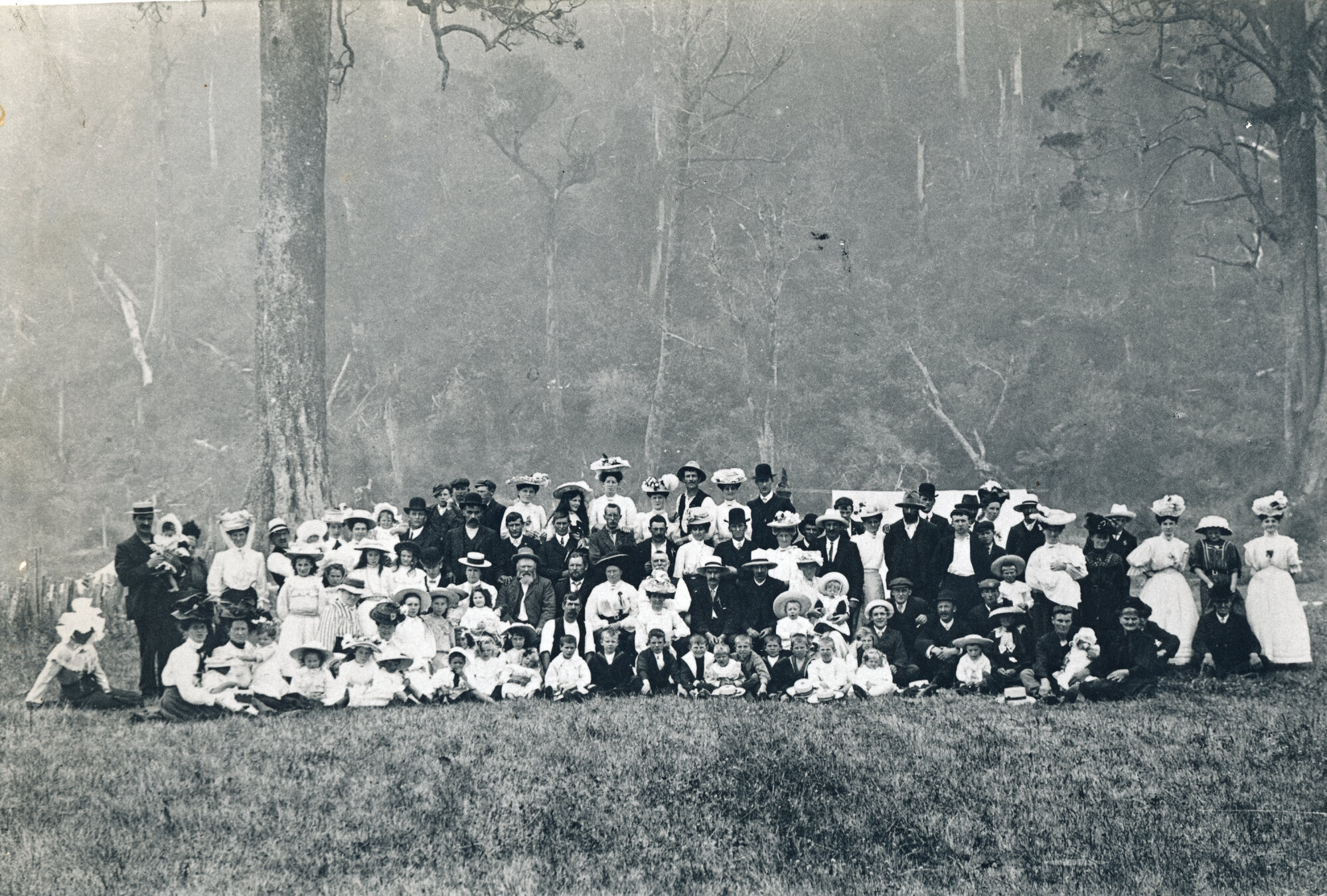 Picnic In Paddock