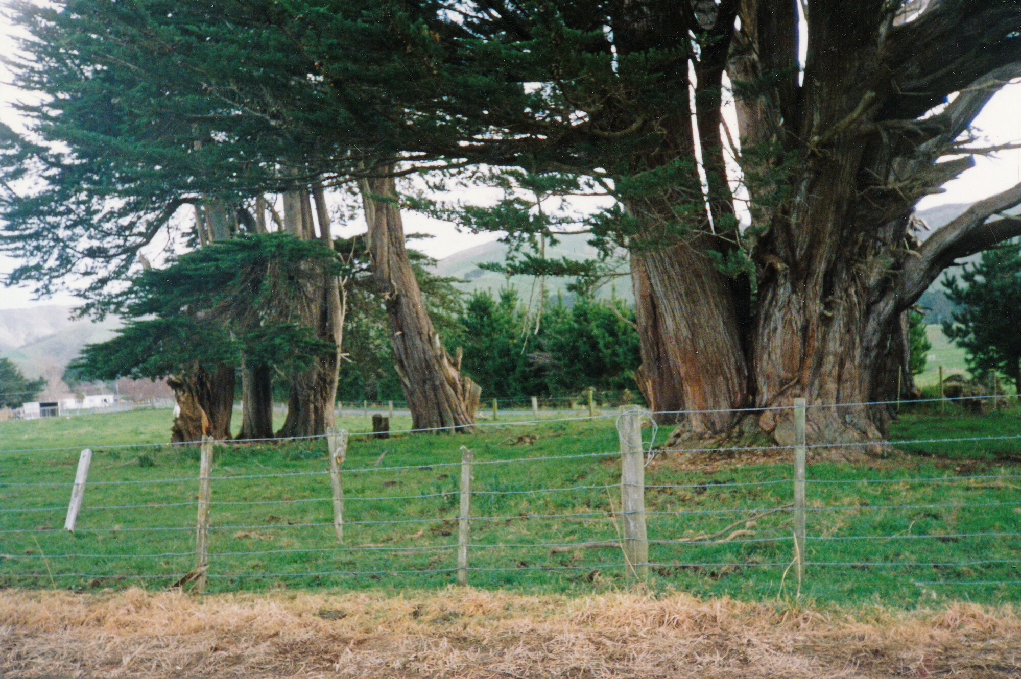 Whitemans Valley Church
