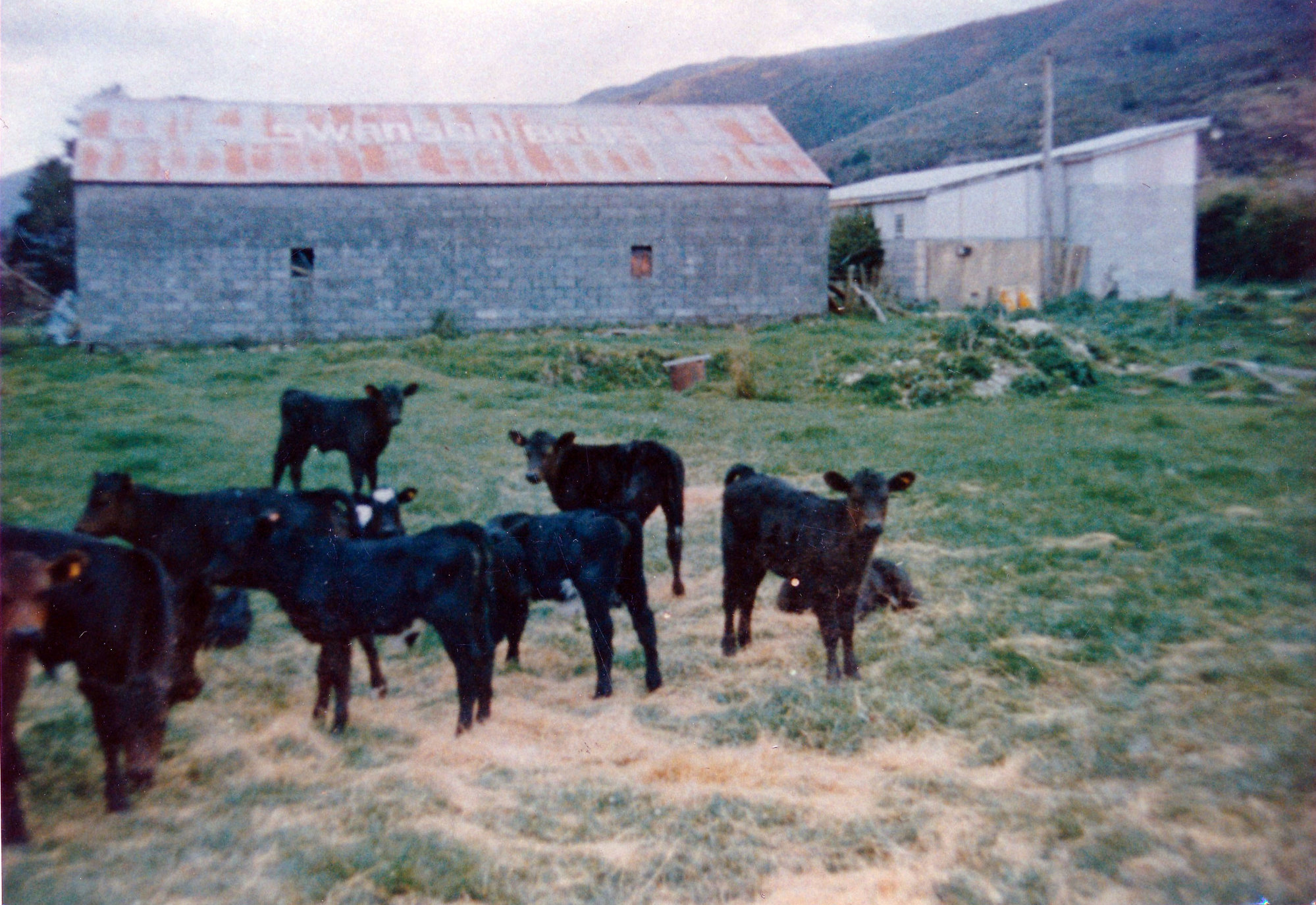Swanson Brother's Feed and Hay Shed