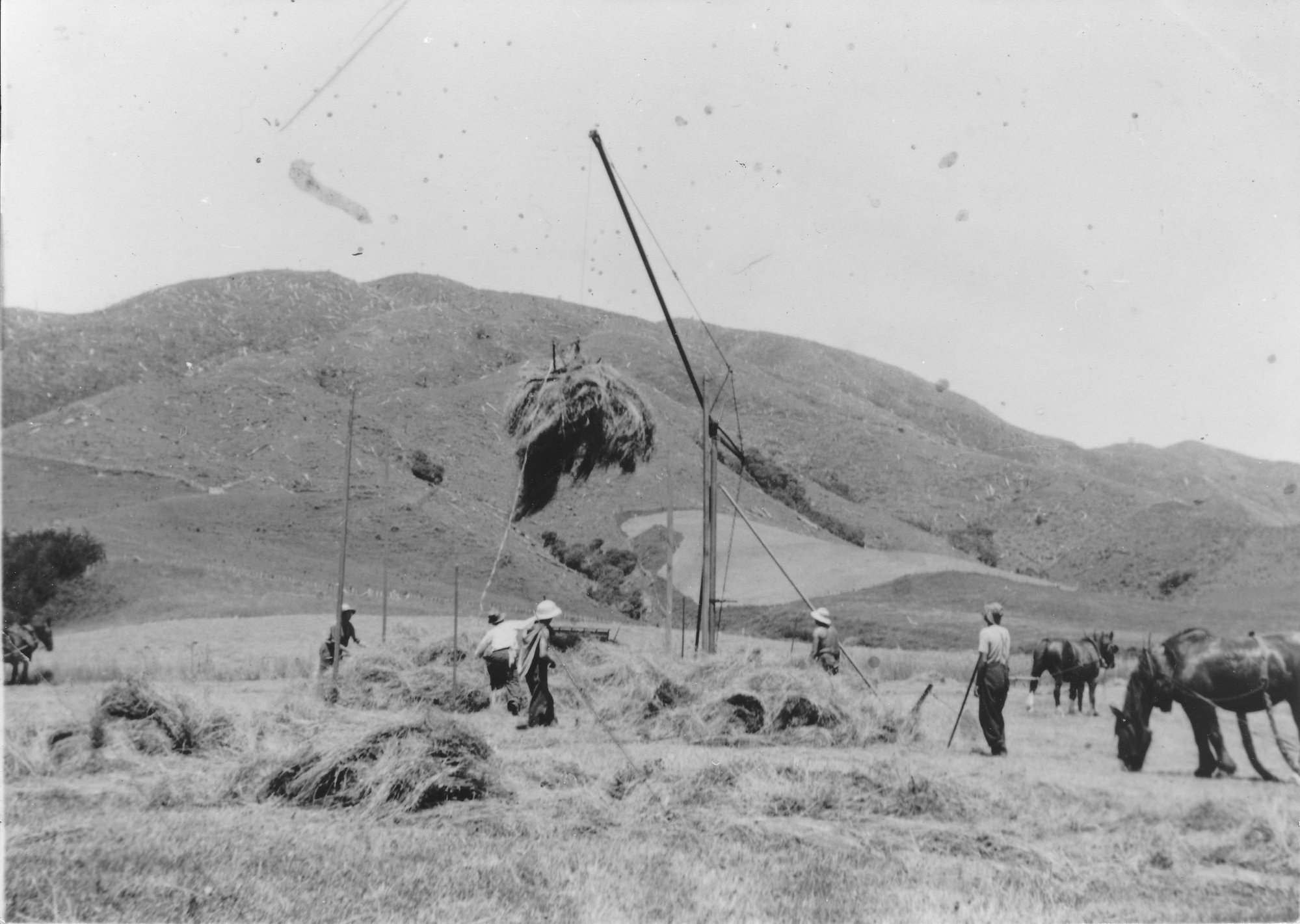 Haymaking on Alan Swanson's Farm