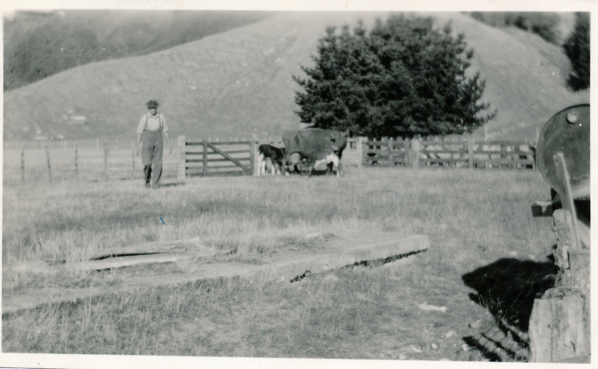 Ken Geange's Rangimarie Farm
