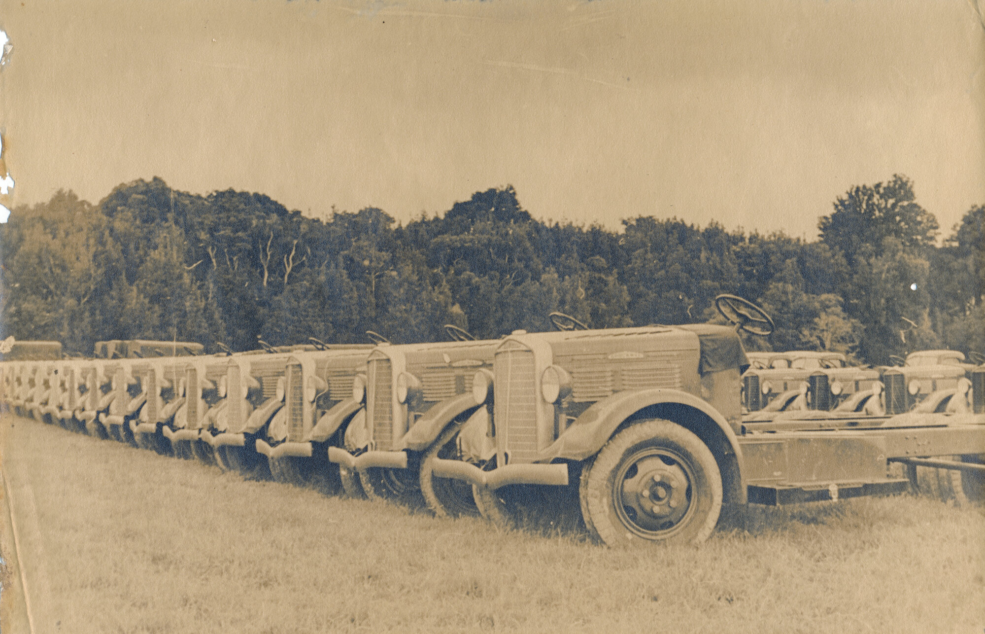 Trucks at Trentham being readied for Army use
