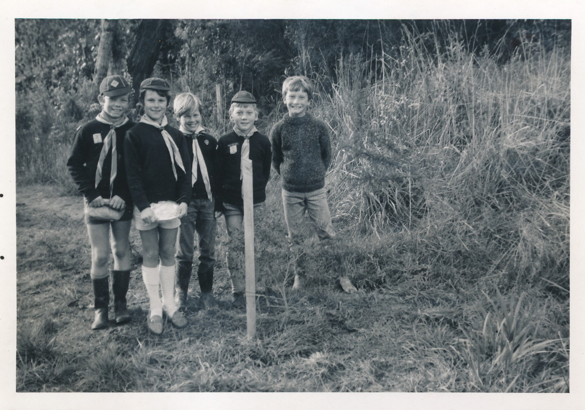 Boy Scouts; Radiata Cub Pack; Conservation Week Tree Planting; 1970