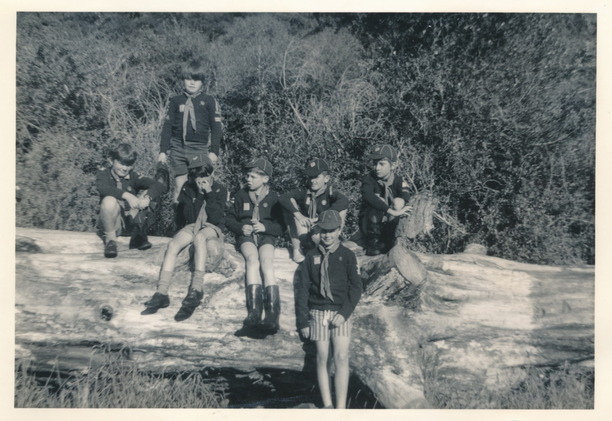 Boy Scouts Radiata Cub Pack; 1971