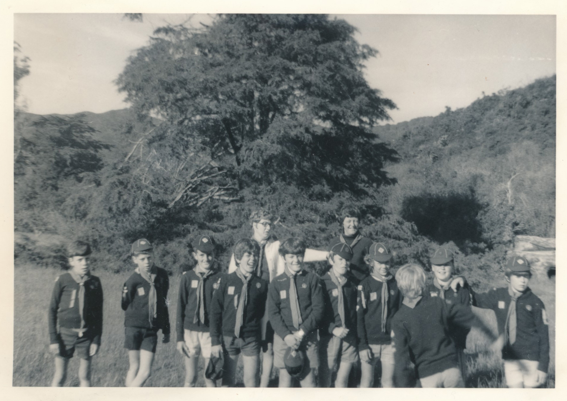 Pinehaven Radiata Cub Pack; 1971