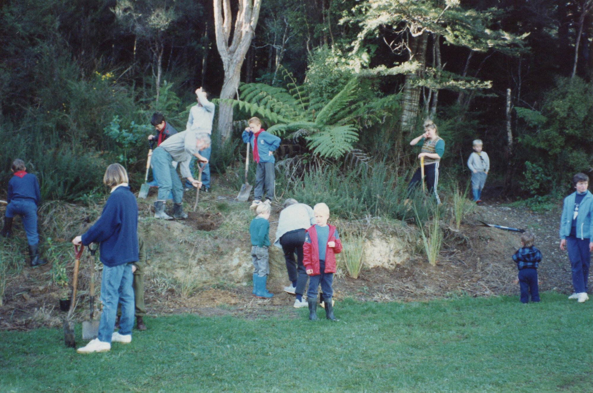Pinehaven Scout Group; Pinehaven Reserve Planting;1990