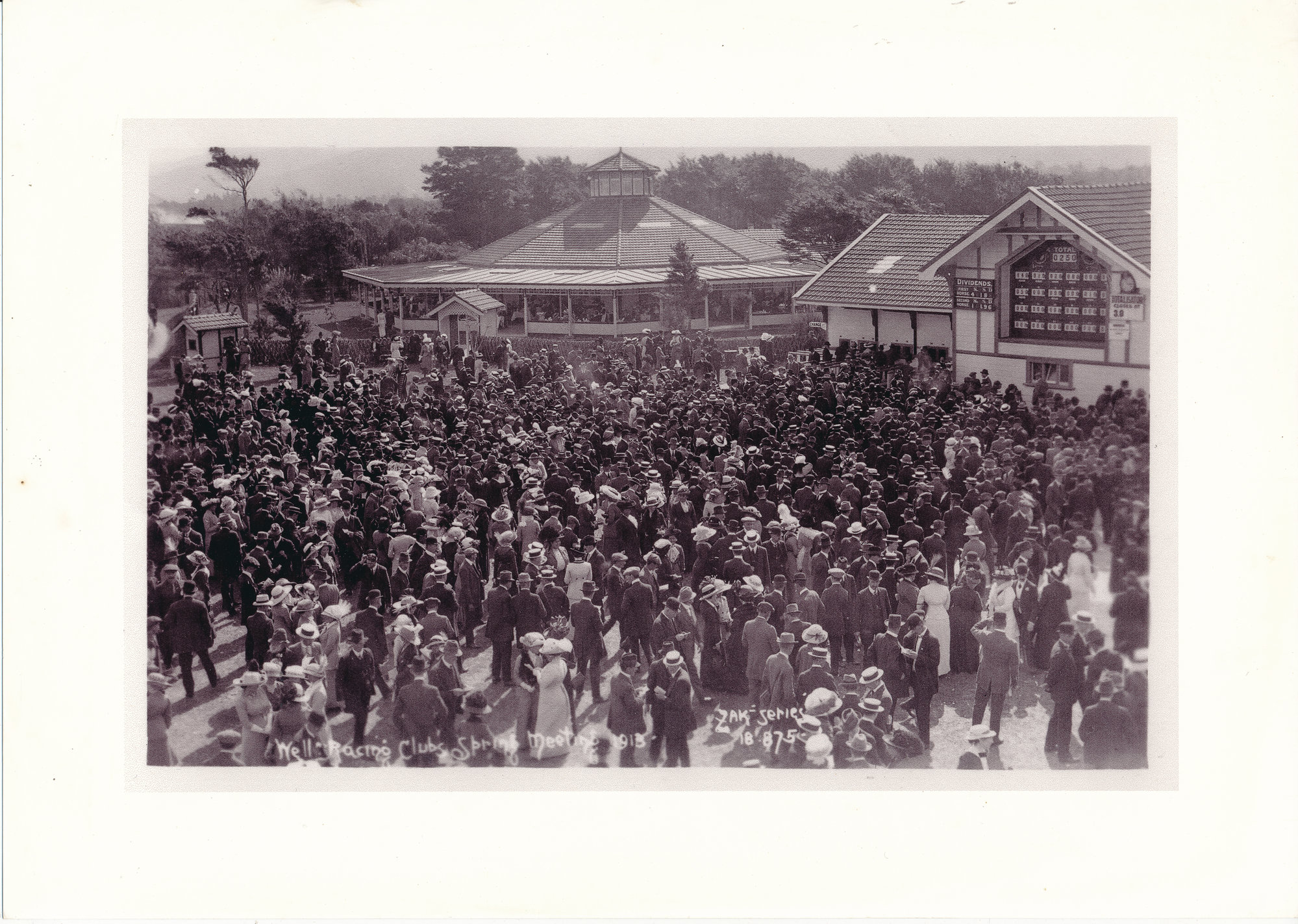 Wellington Racing Clubs Spring Meeting Trentham 1913