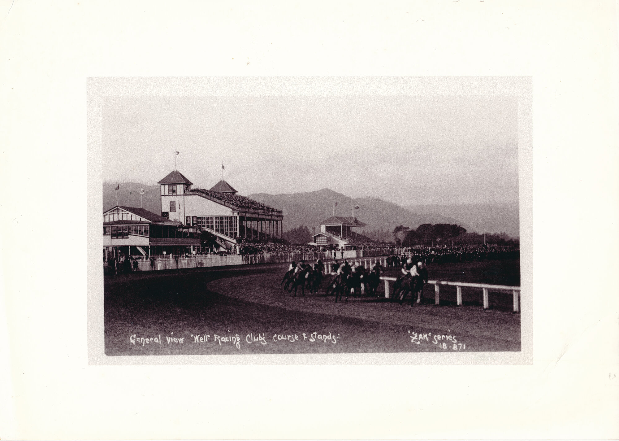 General View Wellington Racing Clubs course and stands