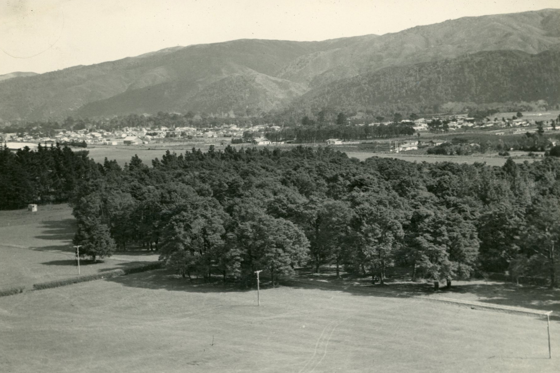 Wallaceville Animal Research Centre; Bush; 1936