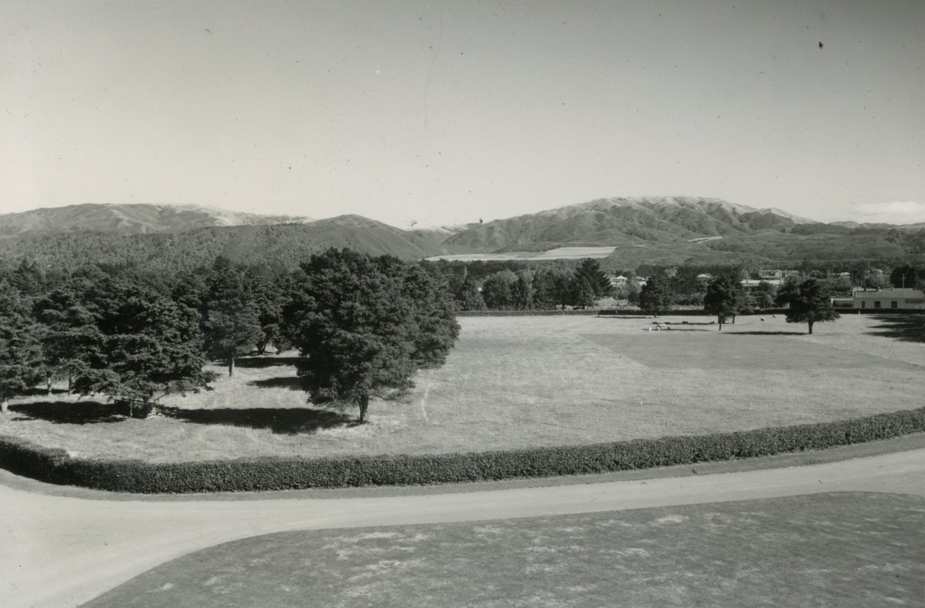 Wallaceville Animal Research Centre; Cricket Pitch in the Front Paddock; No date