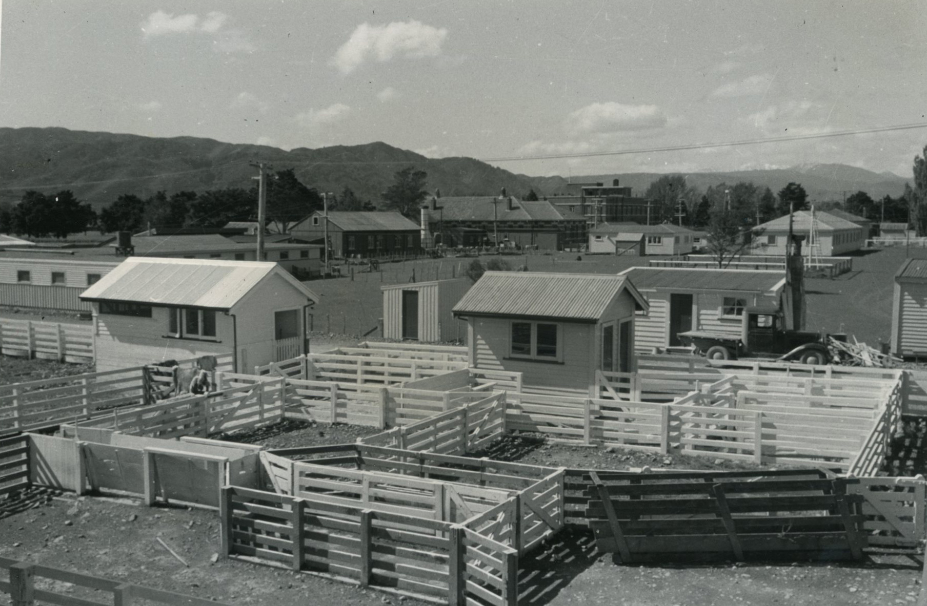 Wallaceville Animal Research Centre; 1951