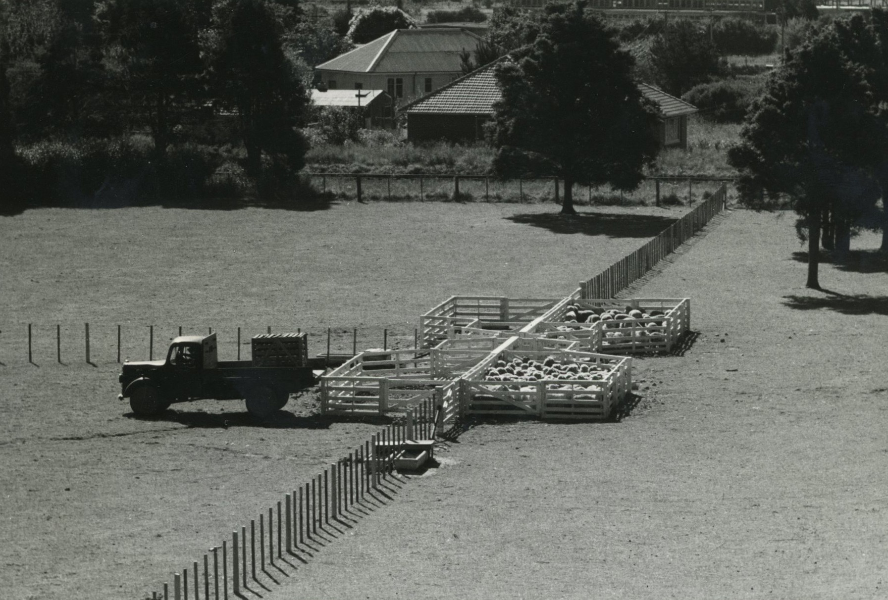 Wallaceville Animal Research Centre; No date