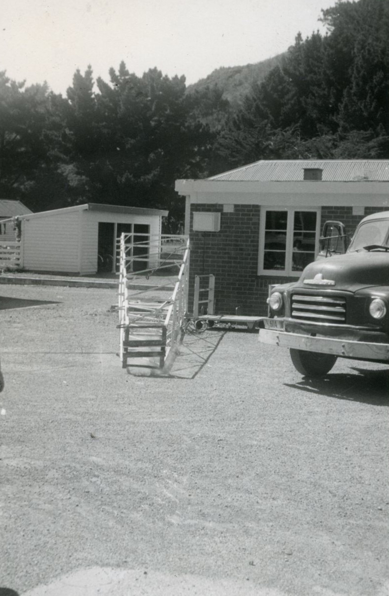 Wallaceville Animal Research Centre; No date