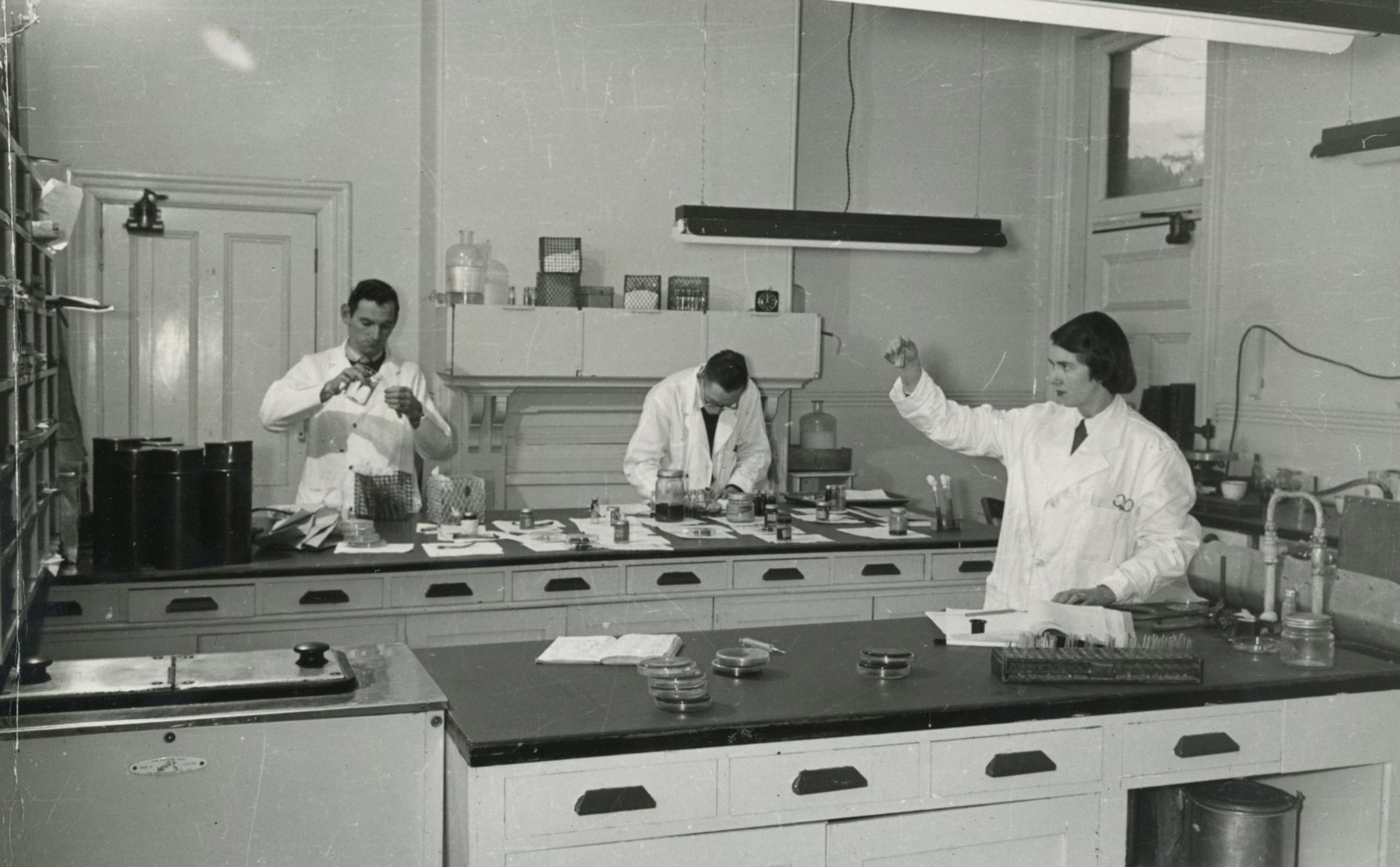 Wallaceville Animal Research Centre; Main Laboratory; 1952
