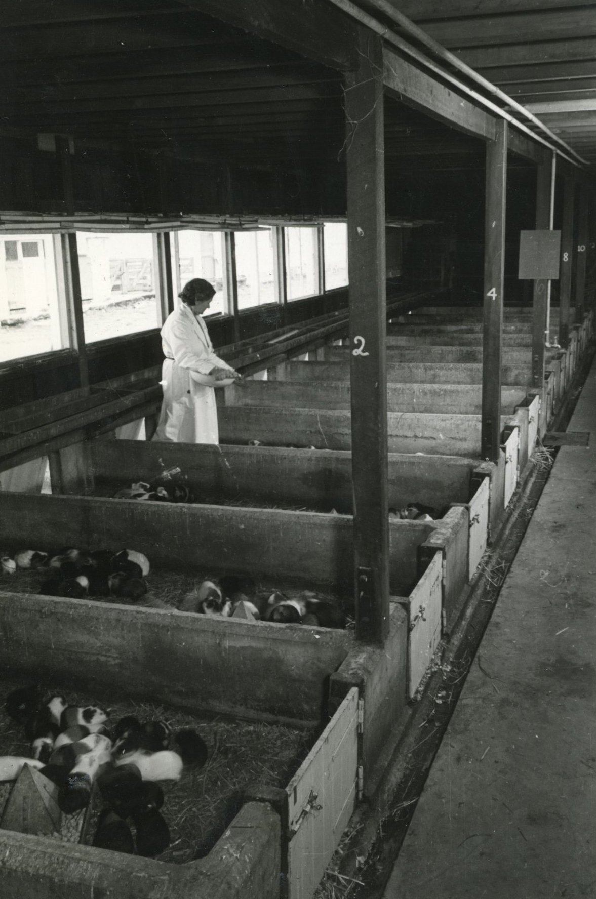Wallaceville Animal Research Centre; no date