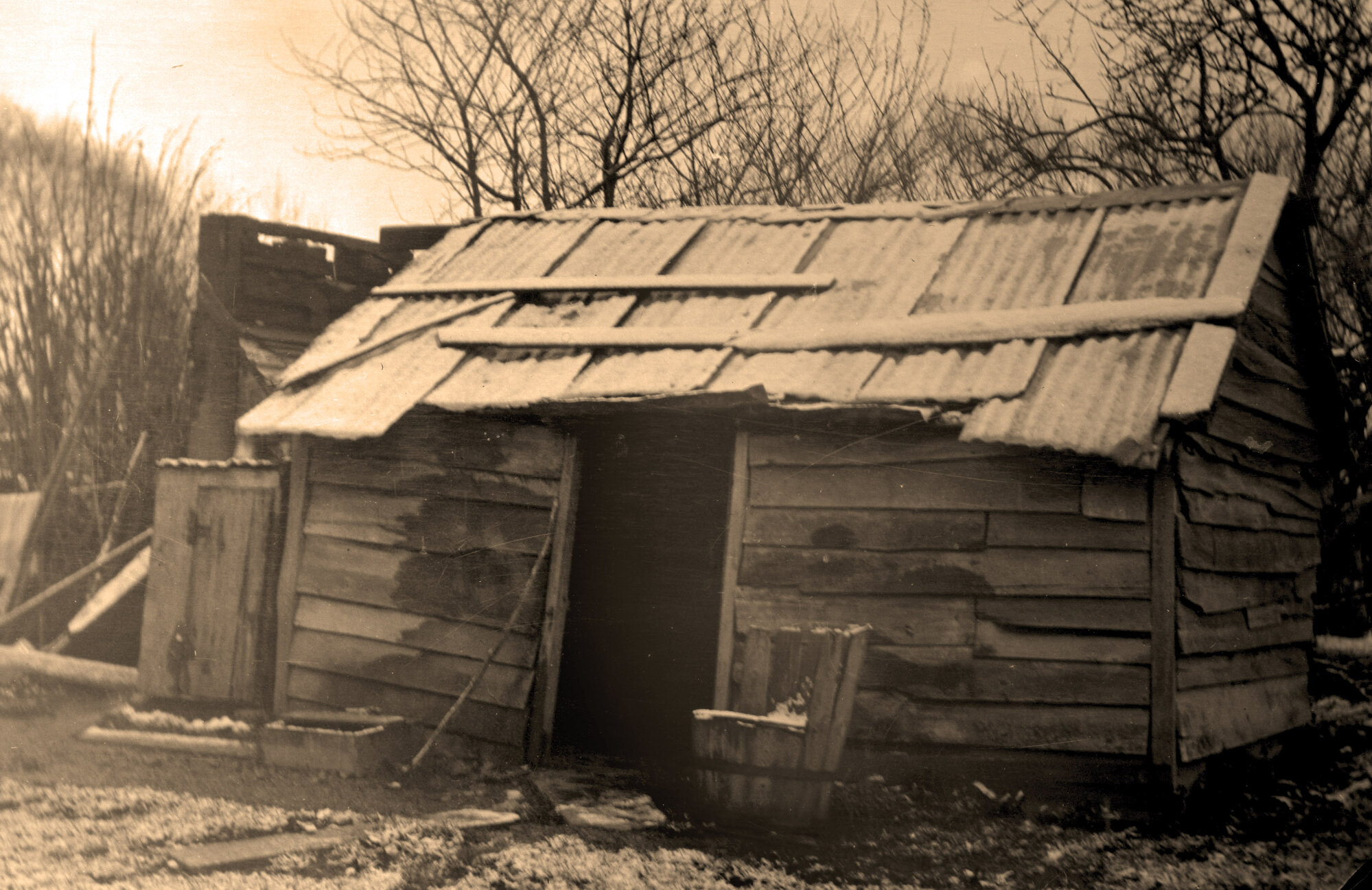 Whare; Tōtara Park; Ca 1912