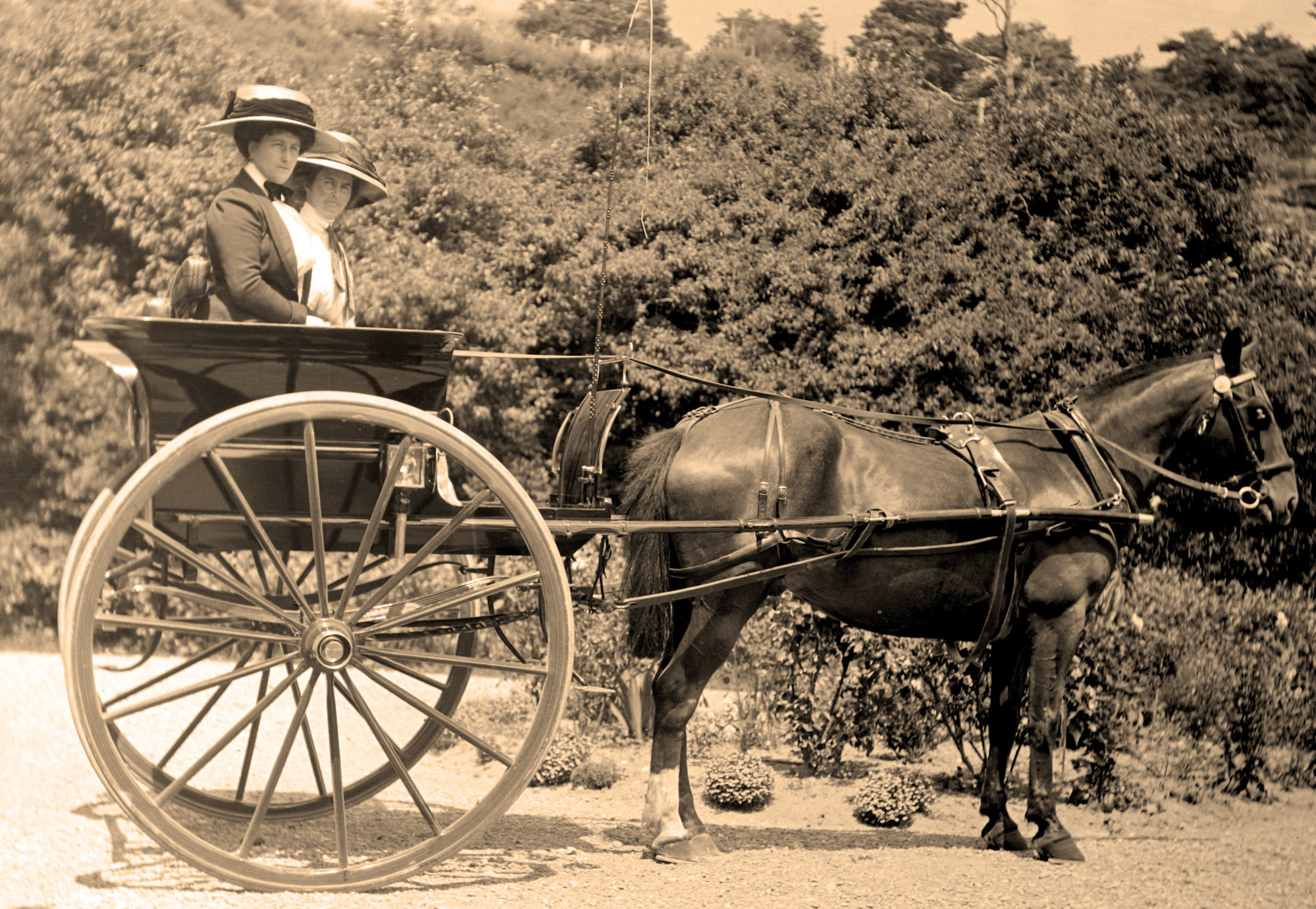 Women riding on a gig; ca 1912