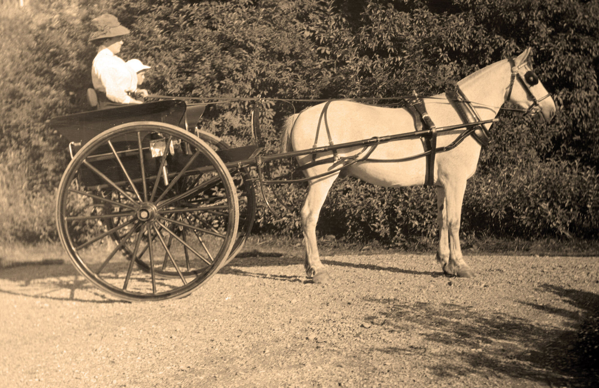 Woman and Child in Horse and Cart; ca 1912