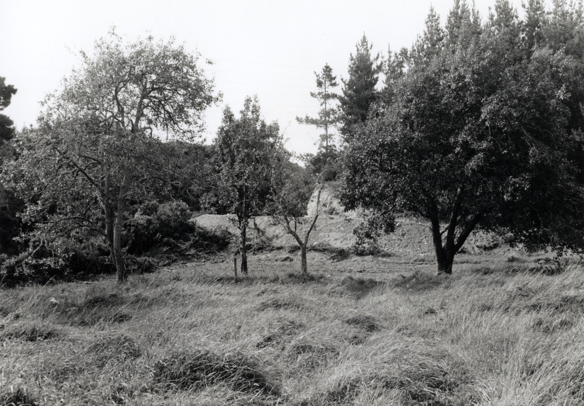 Former Grounds of Bonnie Glen (McCurdy's Castle); ca 1983
