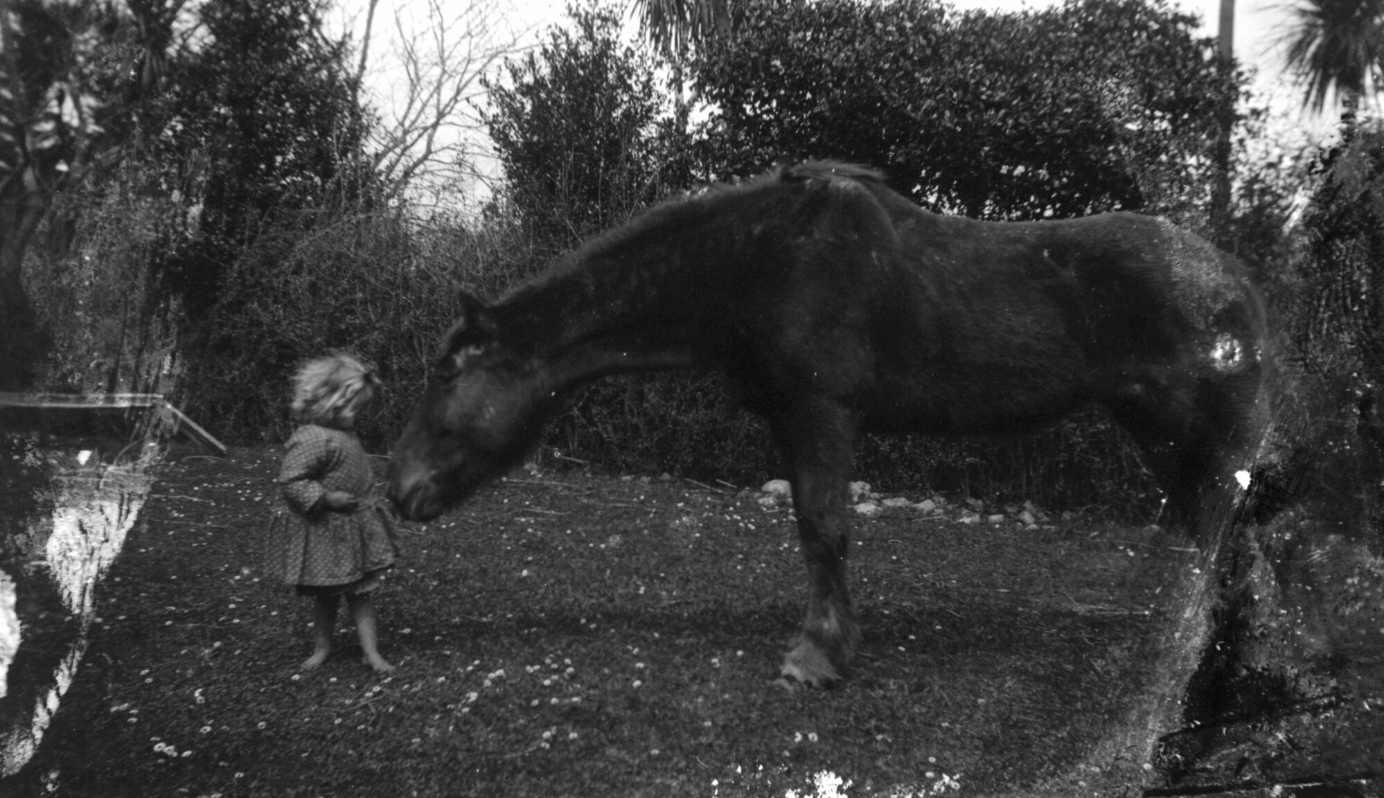 Flora Danahay with Pony; No date