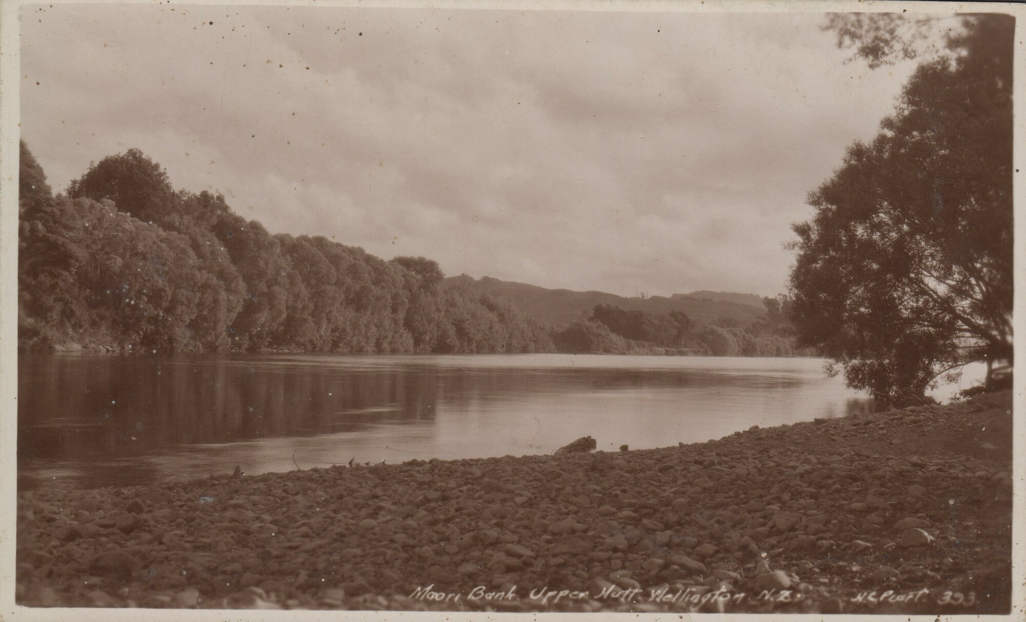 Postcard of Maoribank; No date
