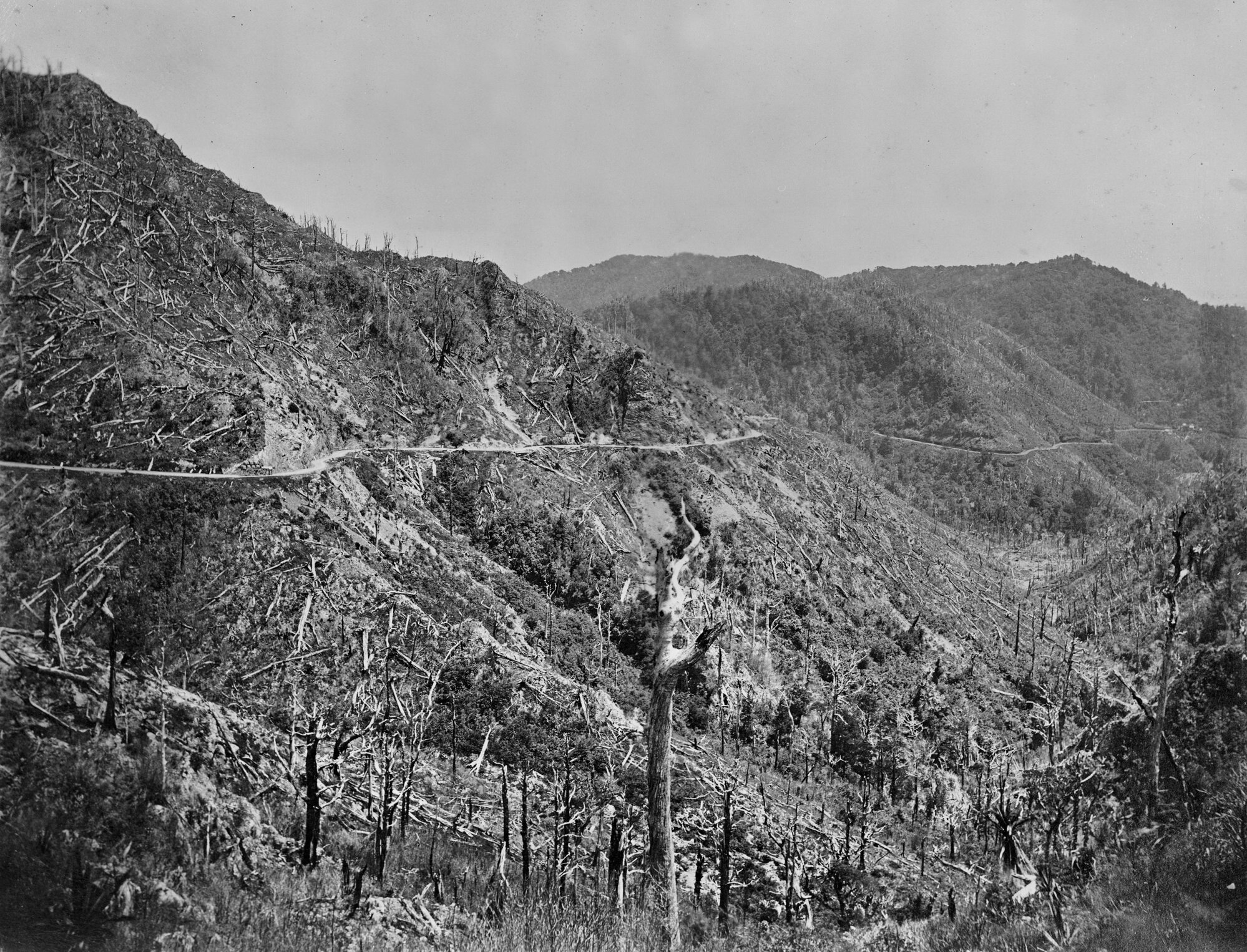Rimutaka Hill Road; ca 1870