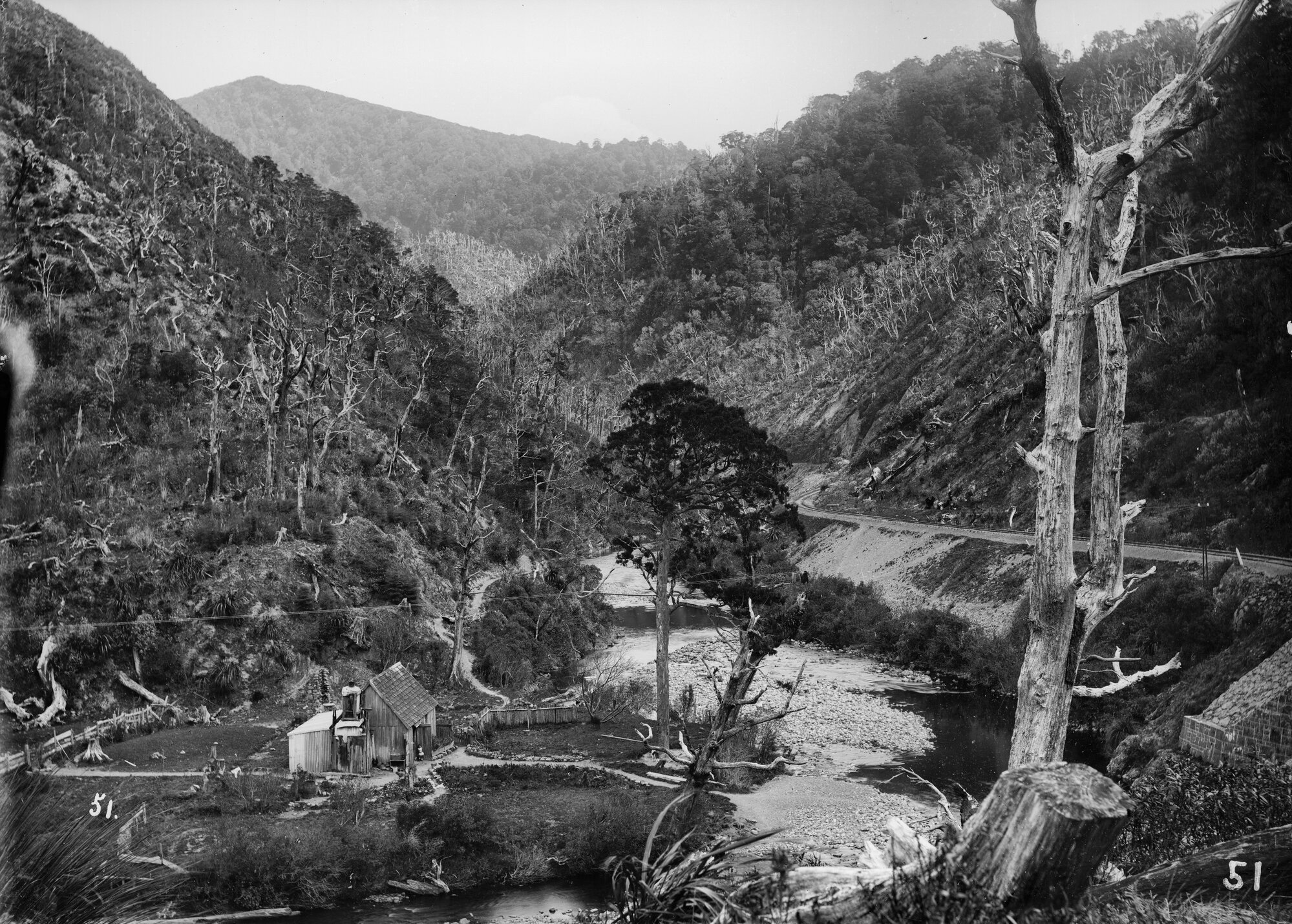 Tōtara Flat; Rimutaka Incline; Ca 1880s