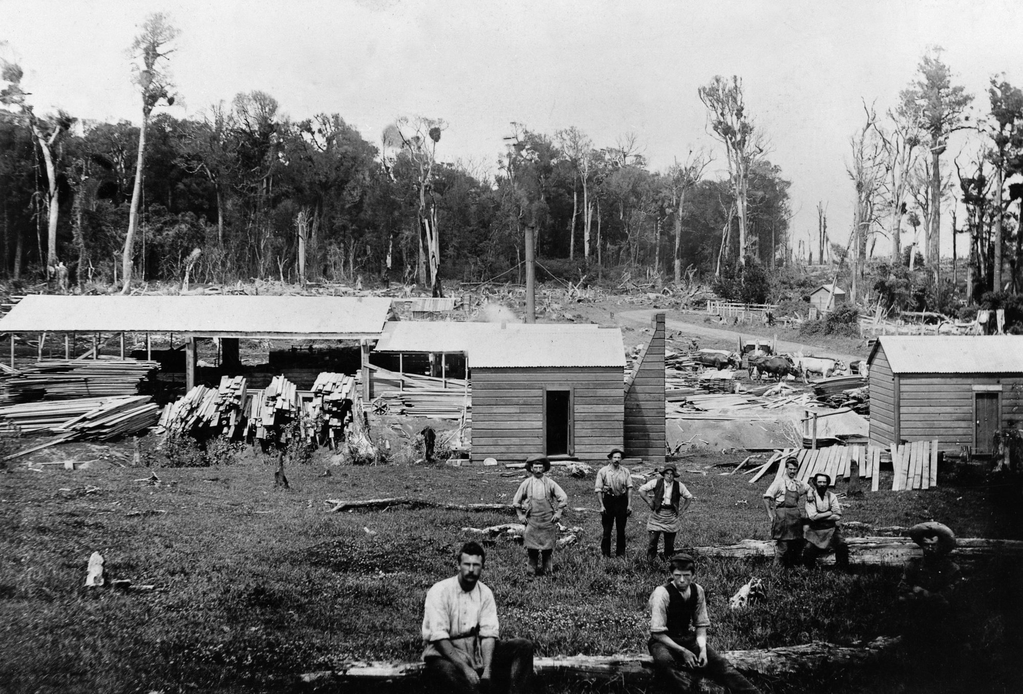 Sawmill and Workers; ca 1900