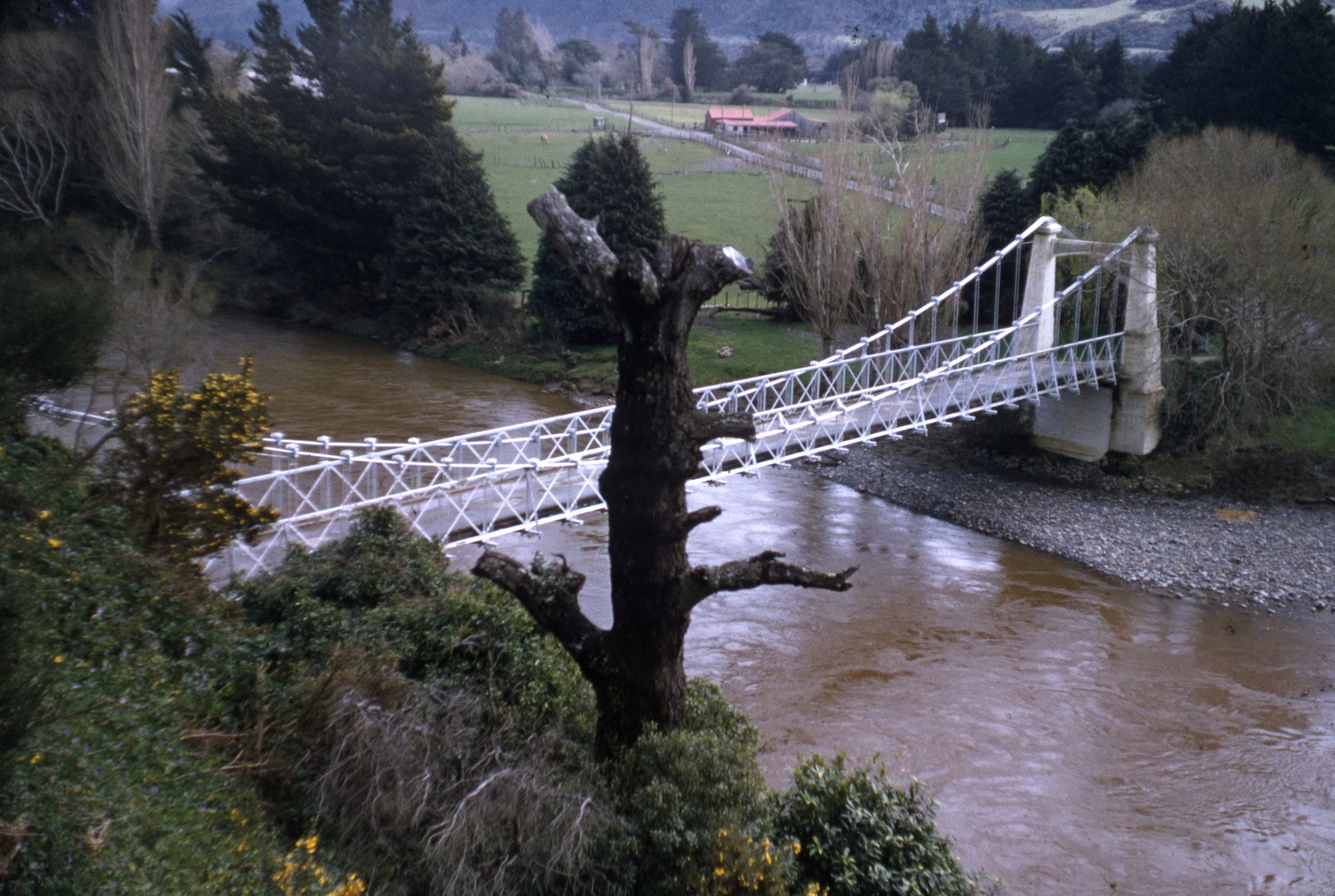 Maoribank Bridge ca 1998