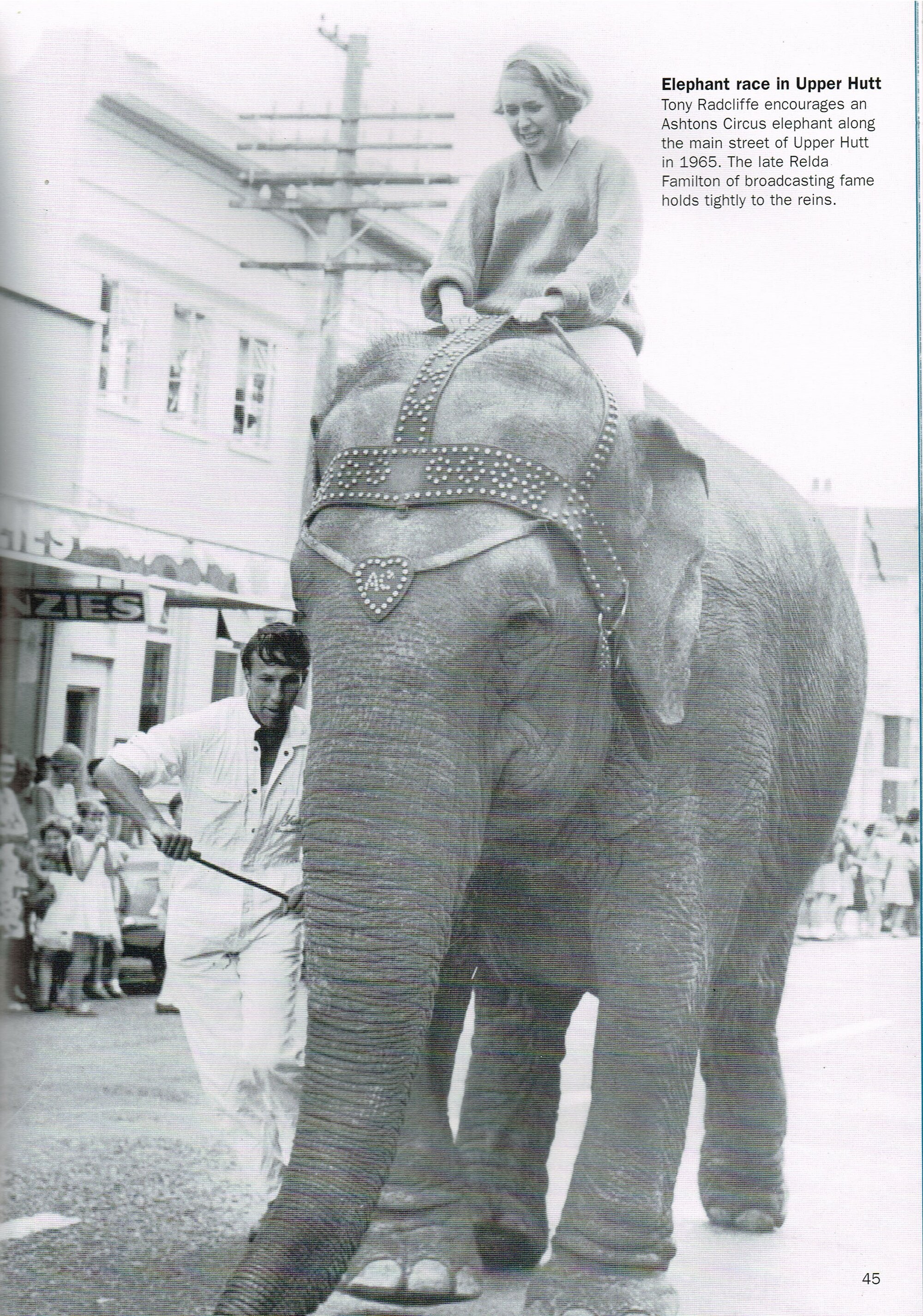 Elephant Race in Upper Hutt