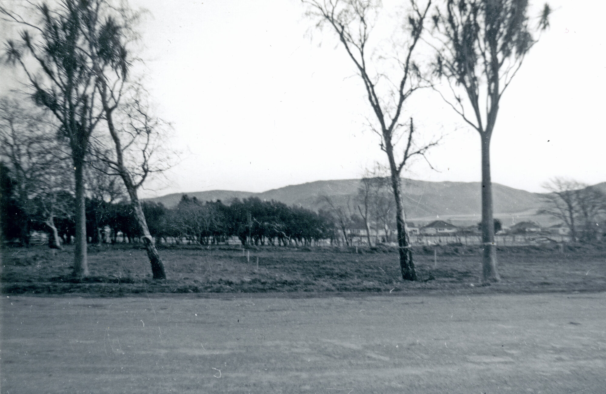 Gibbons Street; 1964