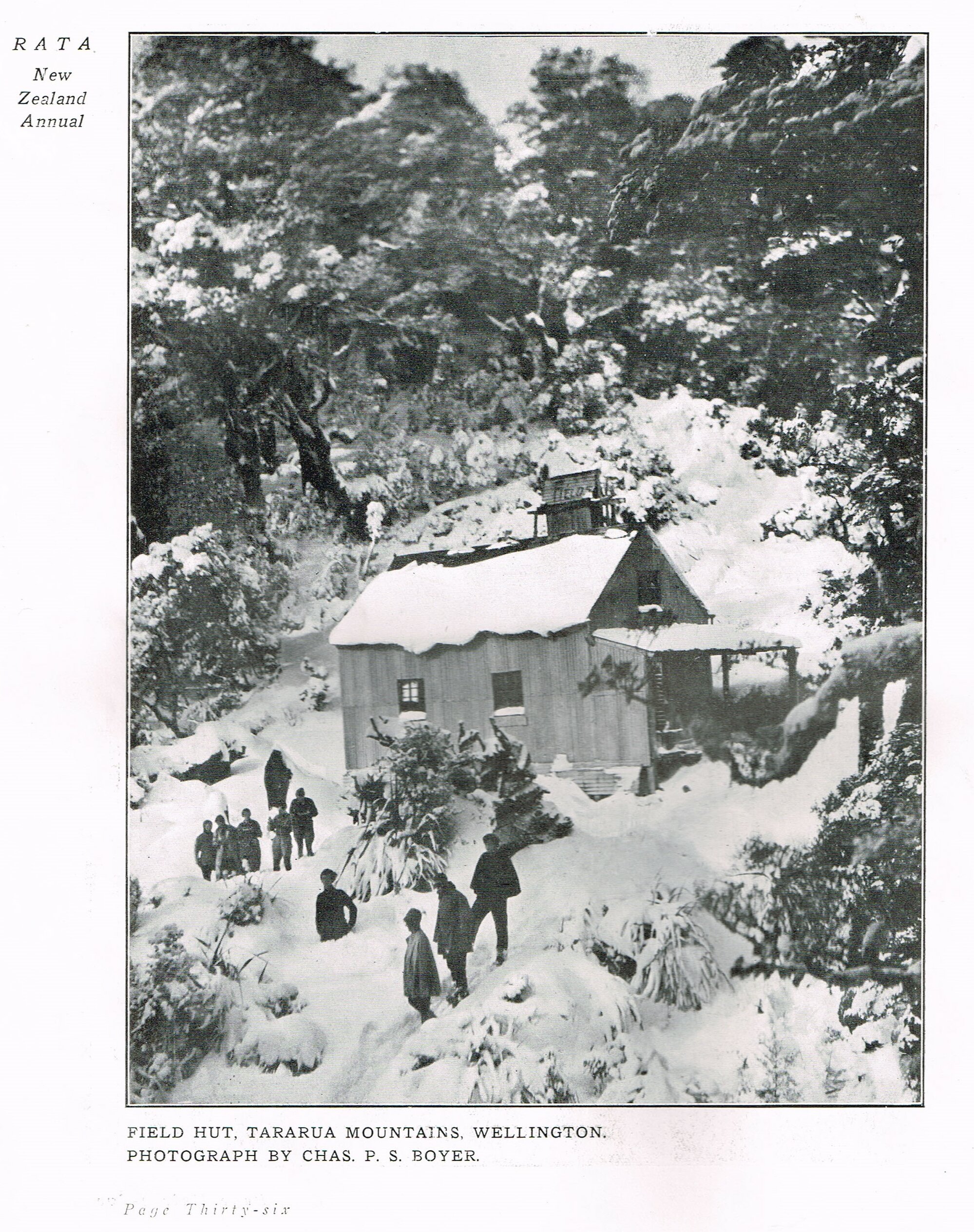 Field Hut Tararua Mountains Wellington