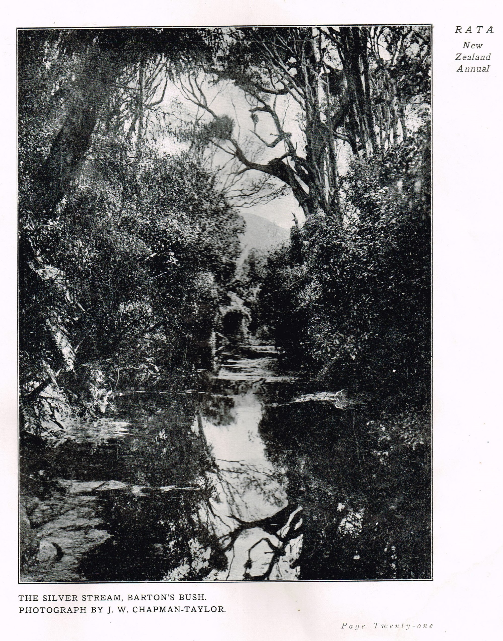 The Silver Stream, Barton's Bush