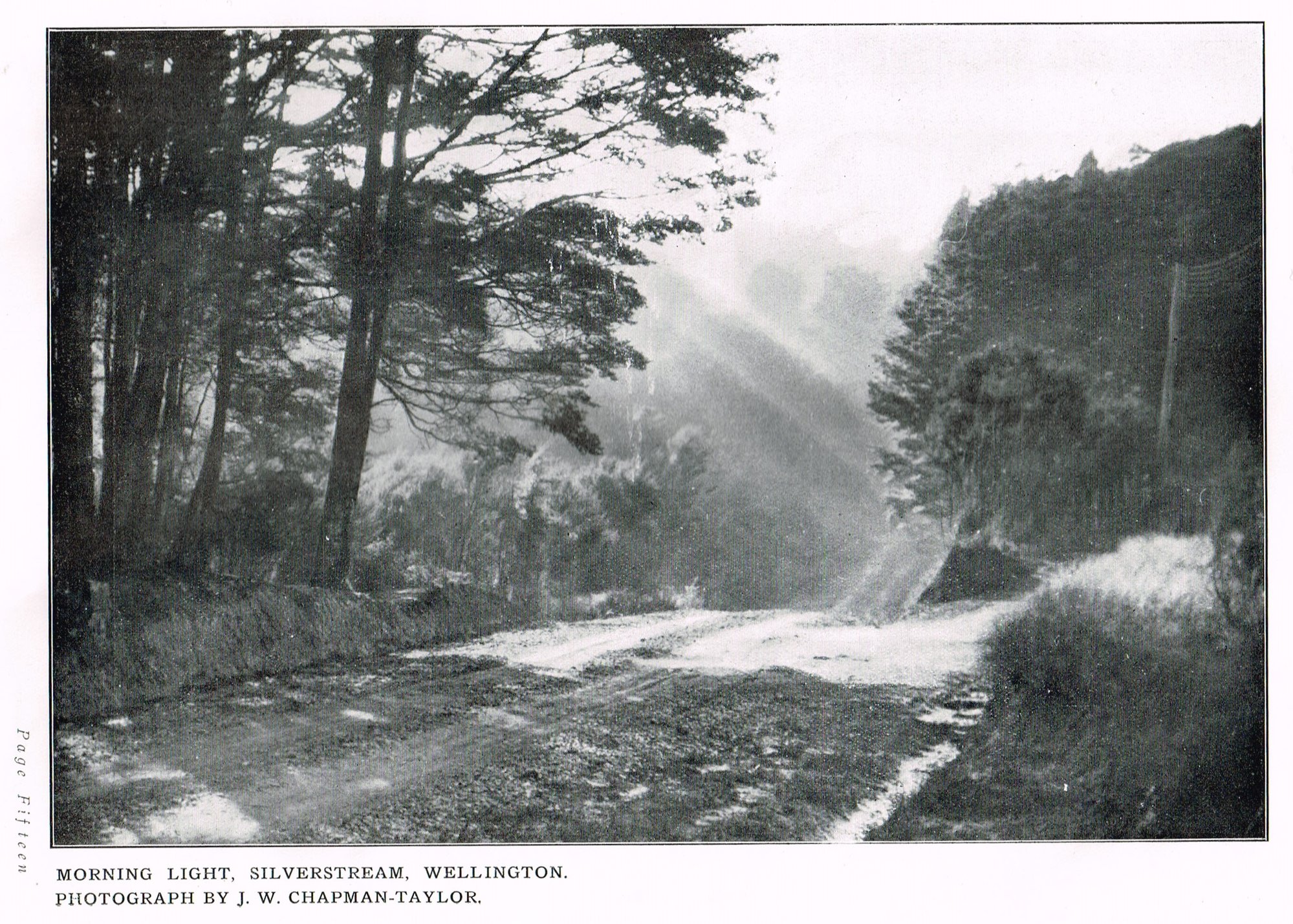 Morning Light, Silverstream, Wellington