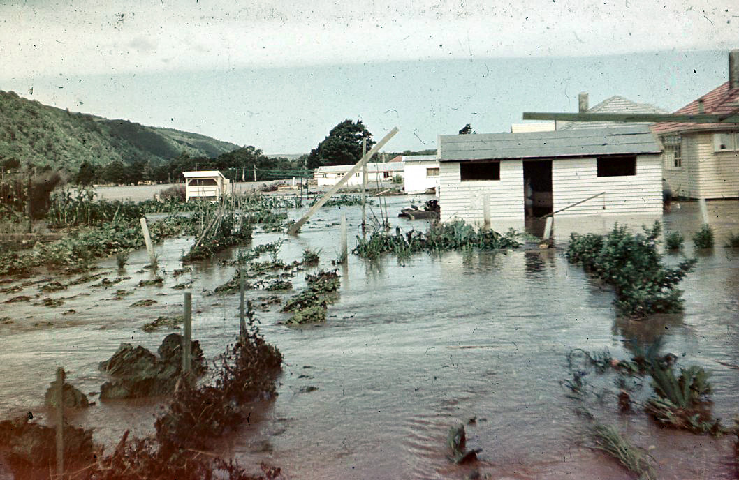 Flooded Yard; 1965