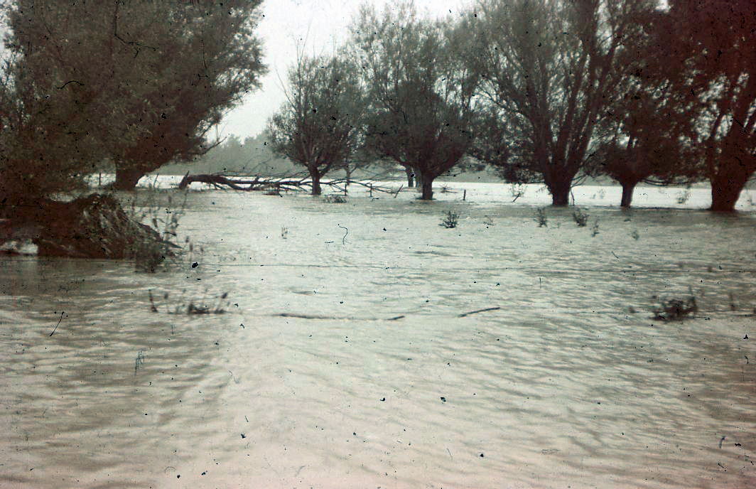 Flooded Paddocks; ca 1965