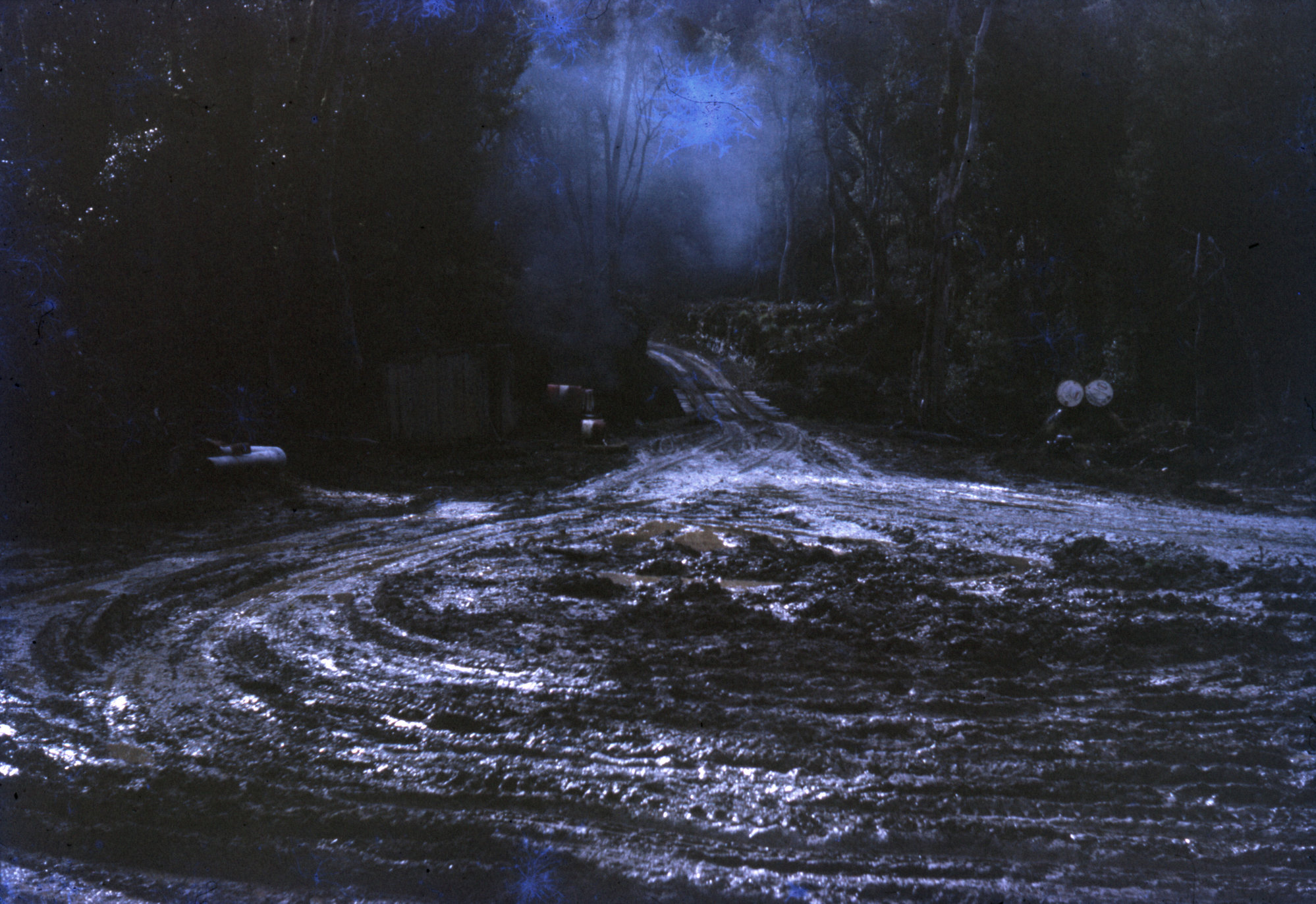Bush Road, Campbell's Sawmill; ca 1960s