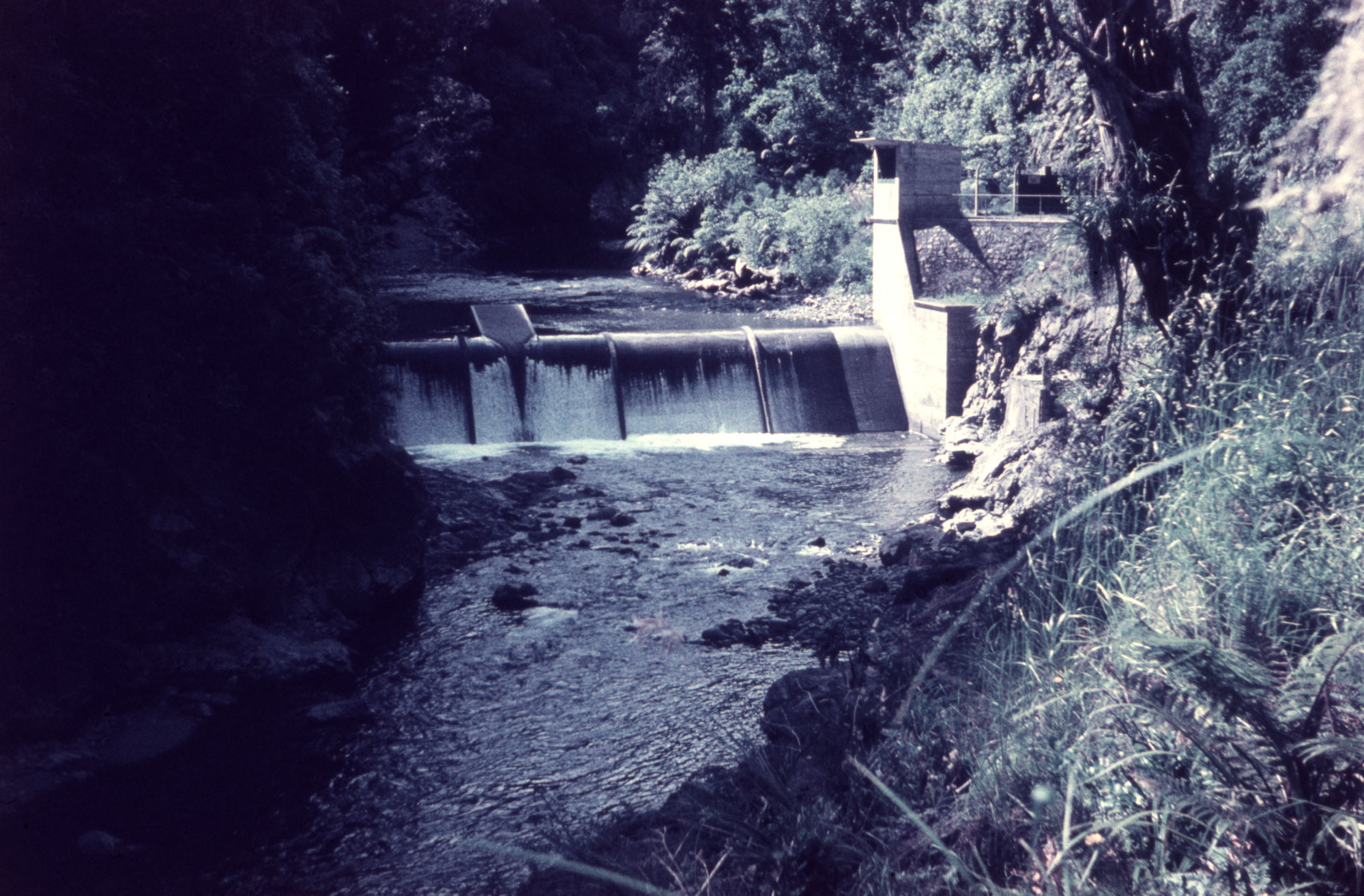 Kaitoke Weir; ca 1960s
