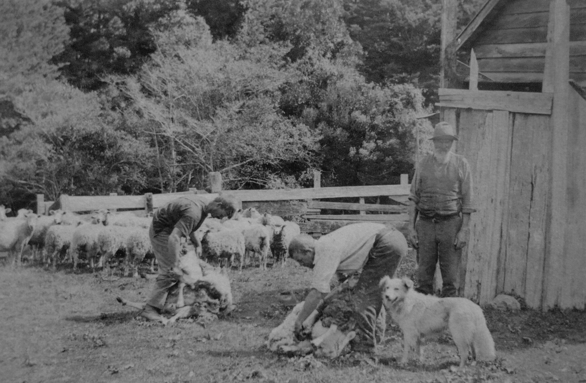 Frank and David Benge at Benge Farm; Te Marua; ca. 1900s