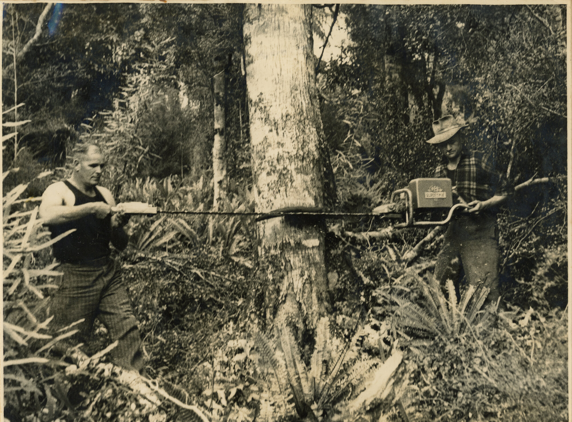 Axemen's Association Scrapbook; E.W. Mitchell and M.N. Vare; 1953