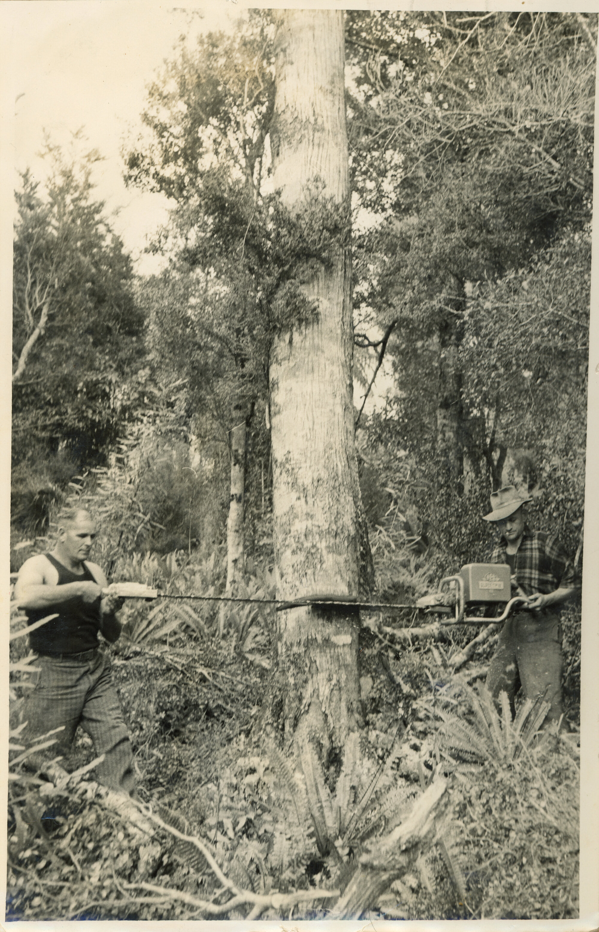 Axemen's Association Scrapbook; E.W. Mitchell and M.N. Vare; 1953