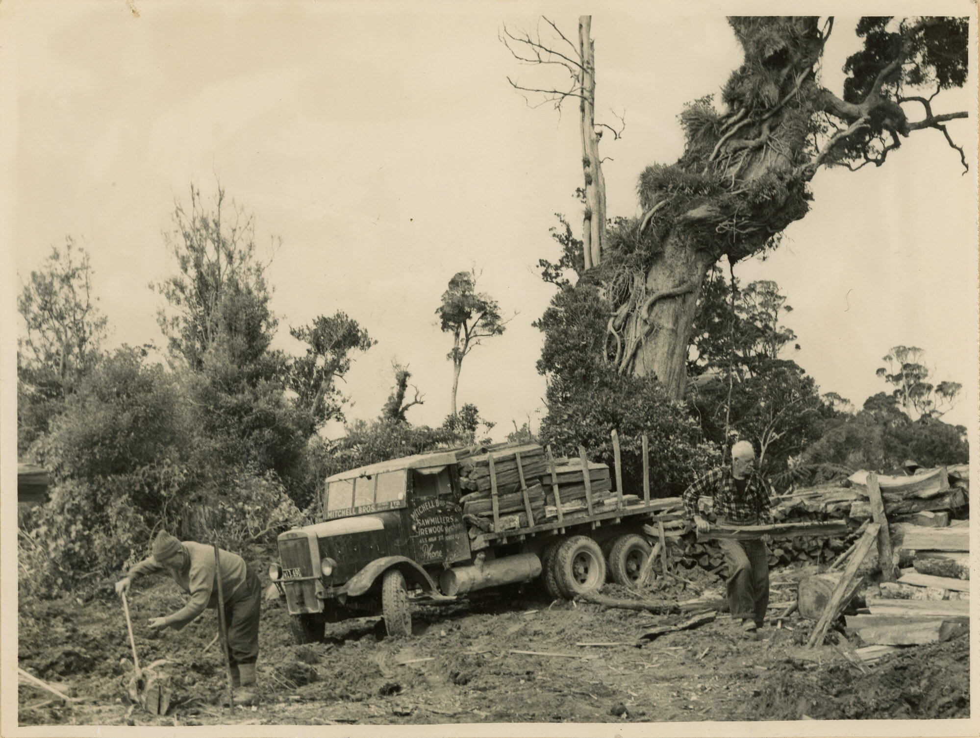 Axemen's Association Scrapbook; Axemen in Bush; 1953