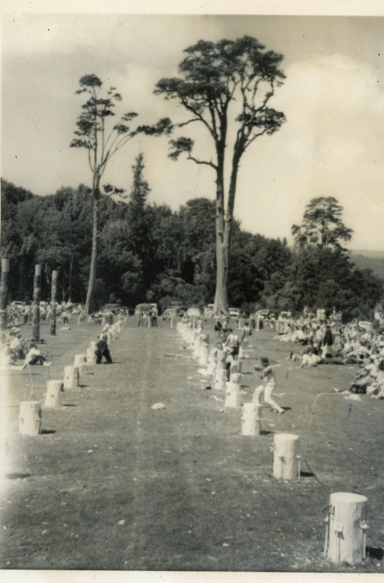Axemen's Association Scrapbook; Trentham Axemen's Event; ca. 1958