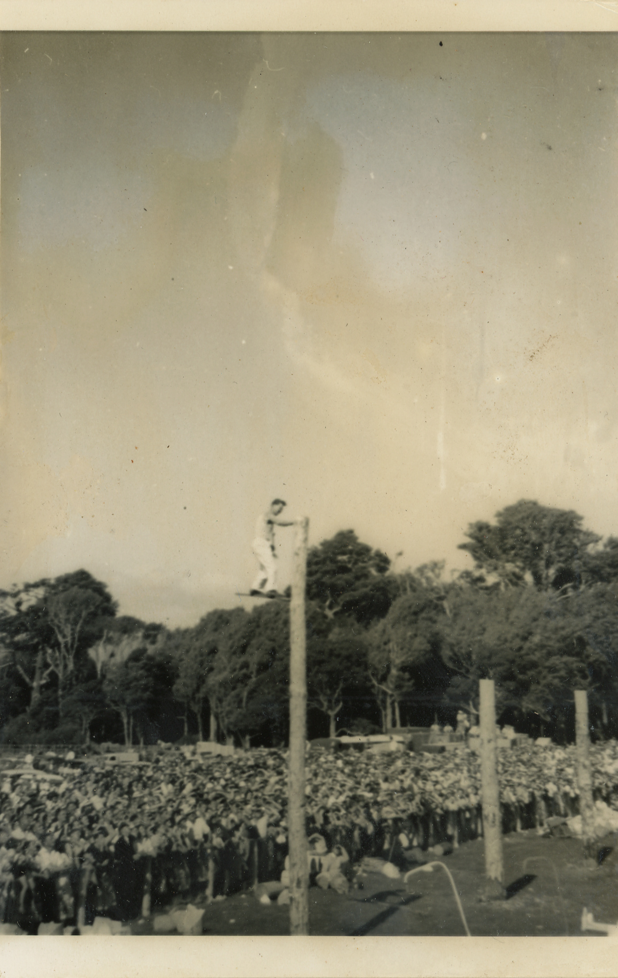 Axemen's Association Scrapbook; Trentham Axemen's Event; ca. 1958