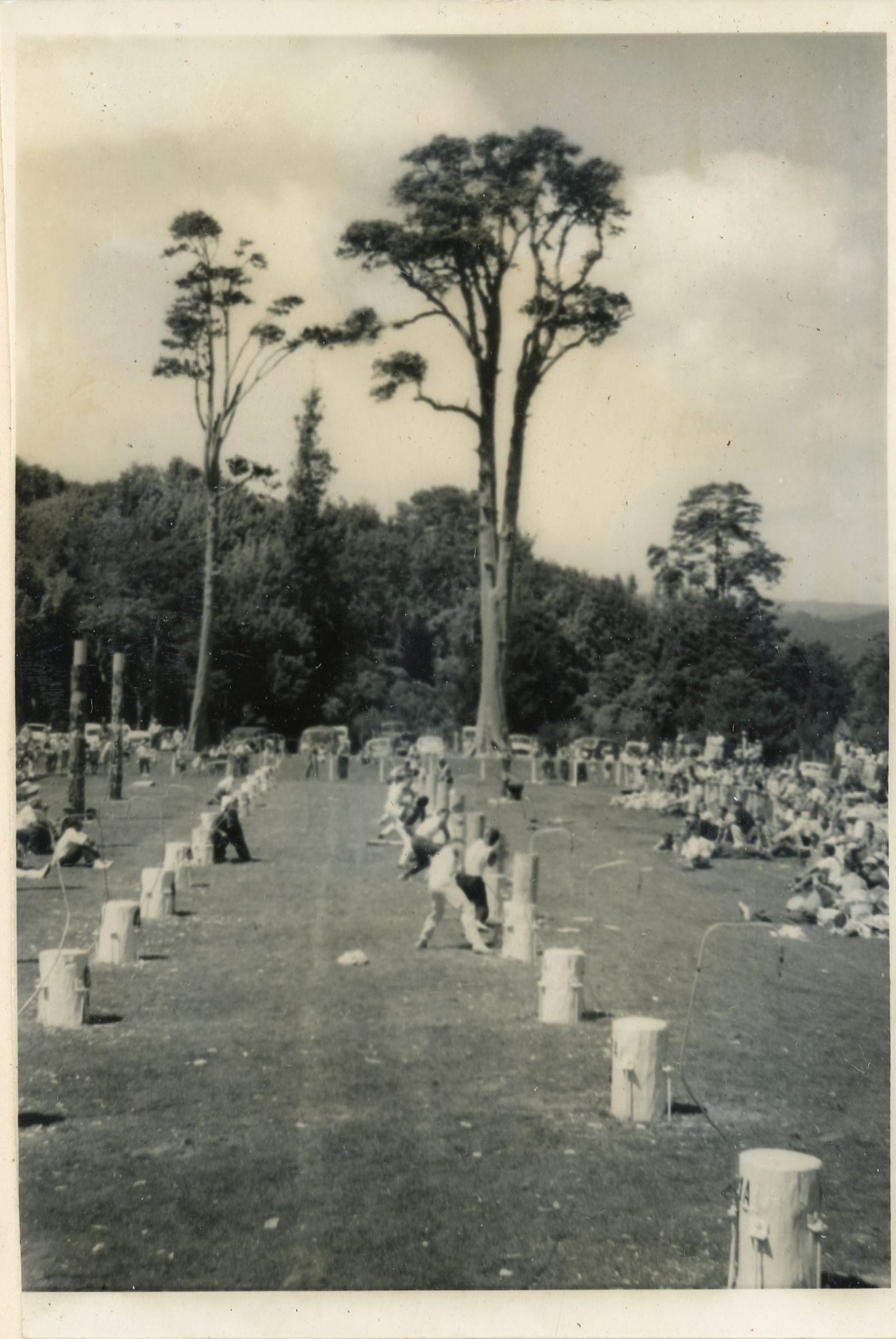 Axemen's Association Scrapbook; Trentham Axemen's Event; ca. 1958