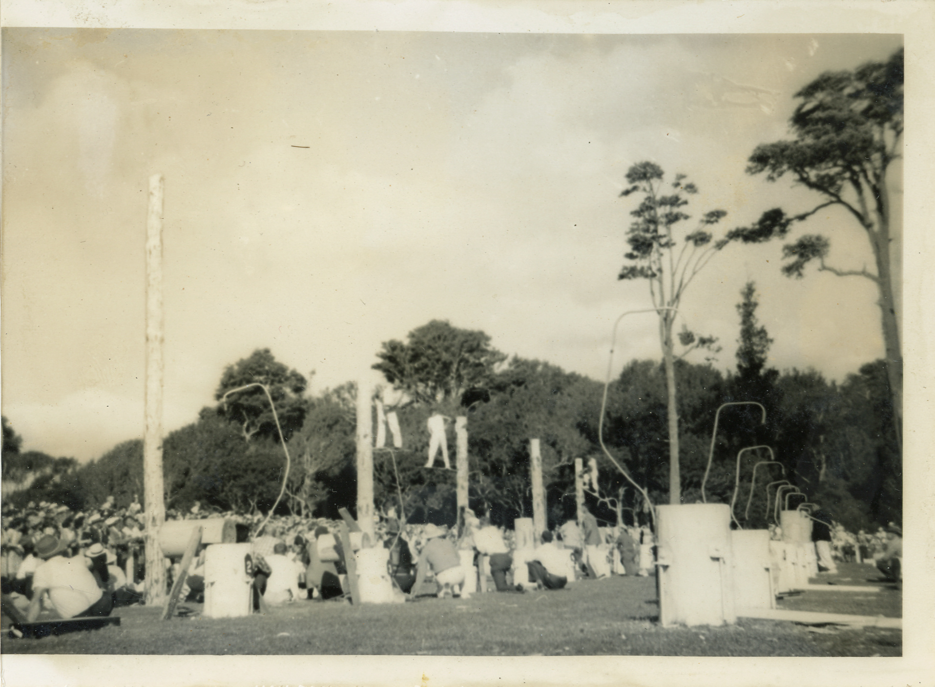 Axemen's Association Scrapbook; Trentham Axemen's Event; ca. 1958