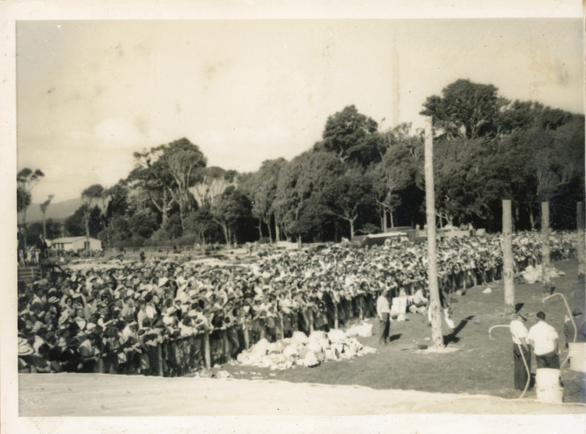 Axemen's Association Scrapbook; Trentham Axemen's Event; ca. 1958